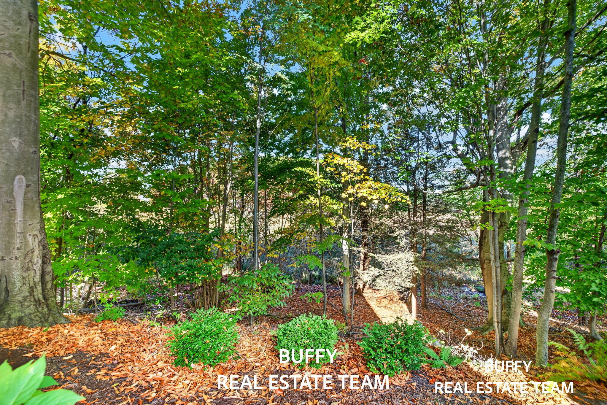 907 Bluff Creek Drive Grand Haven MI 49417