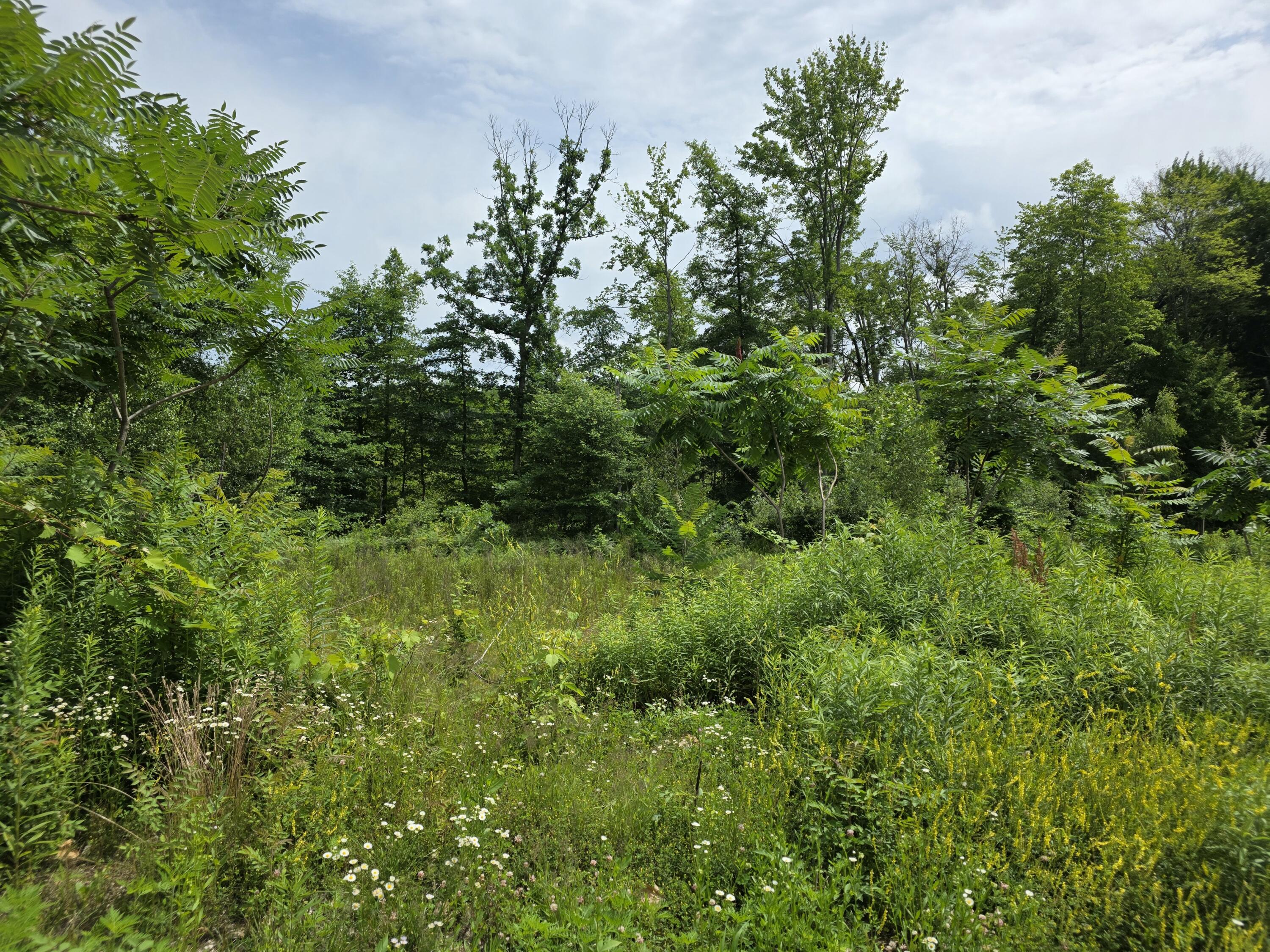 9285 Sassafras Trail Portage MI 49002