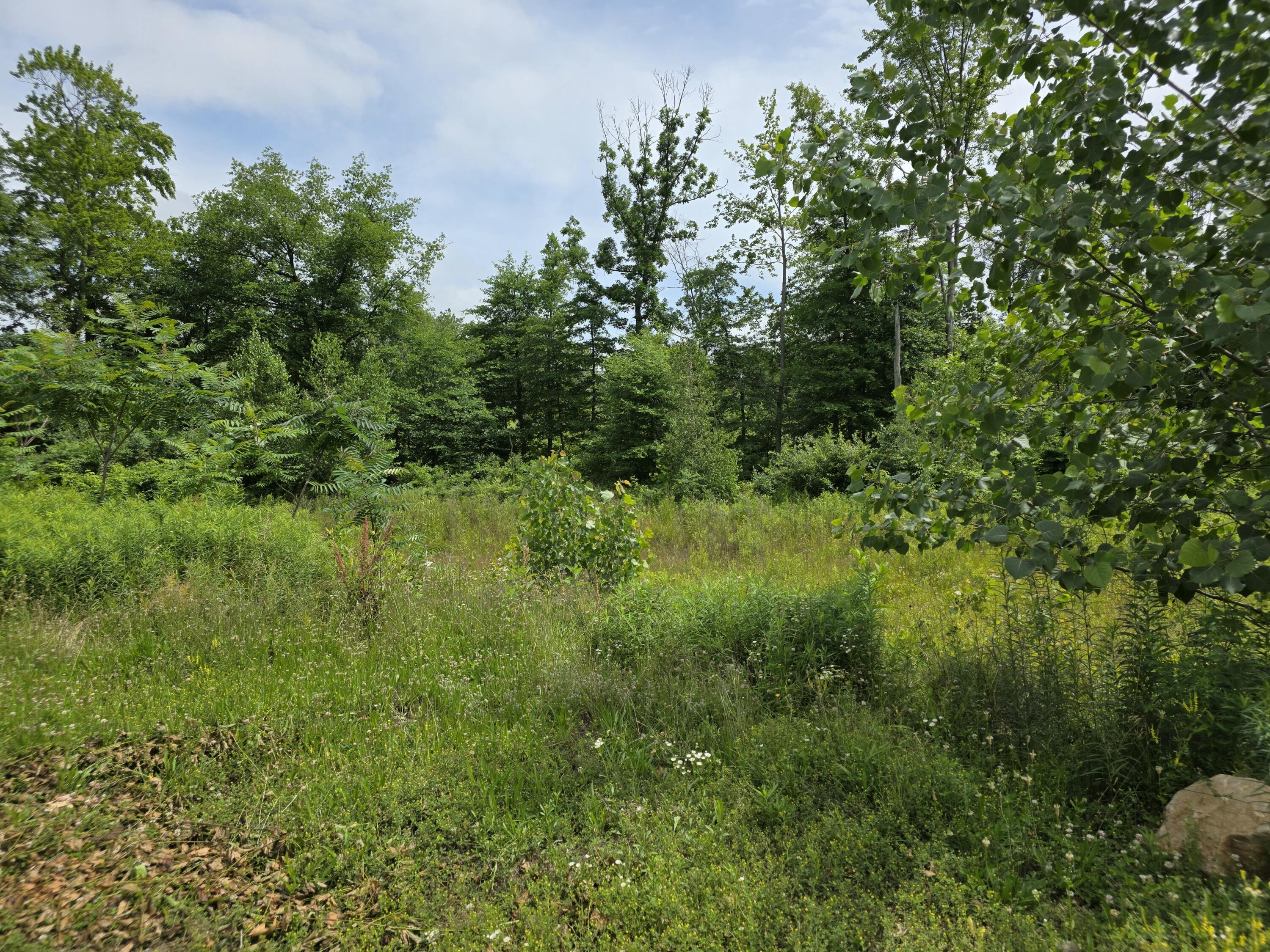 9285 Sassafras Trail Portage MI 49002