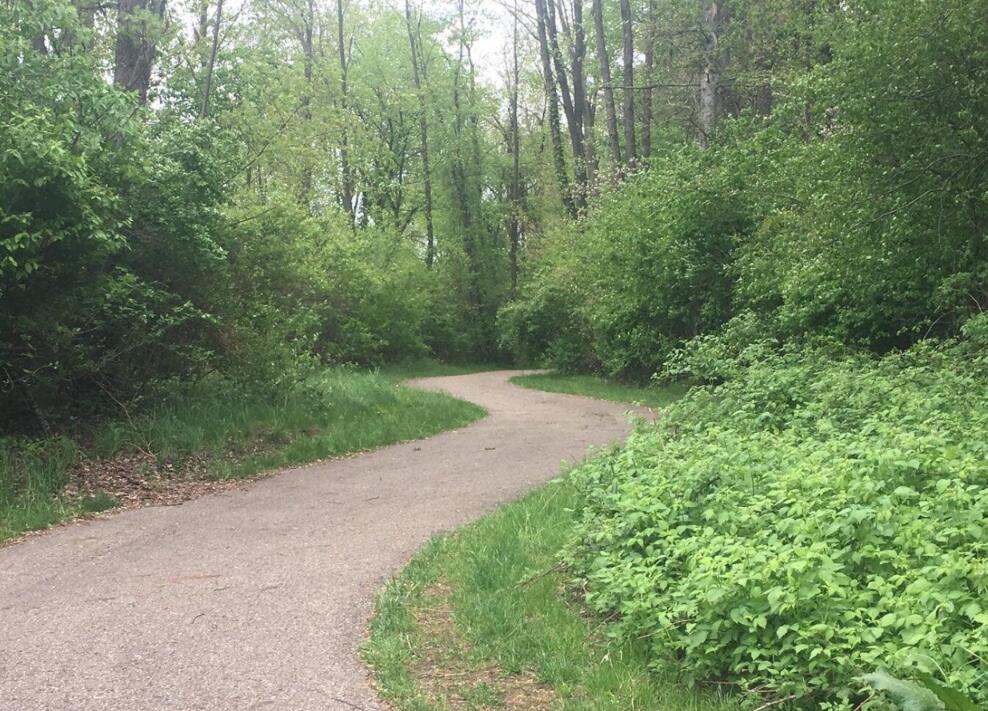4029 Corvo Trace Kalamazoo MI 49006