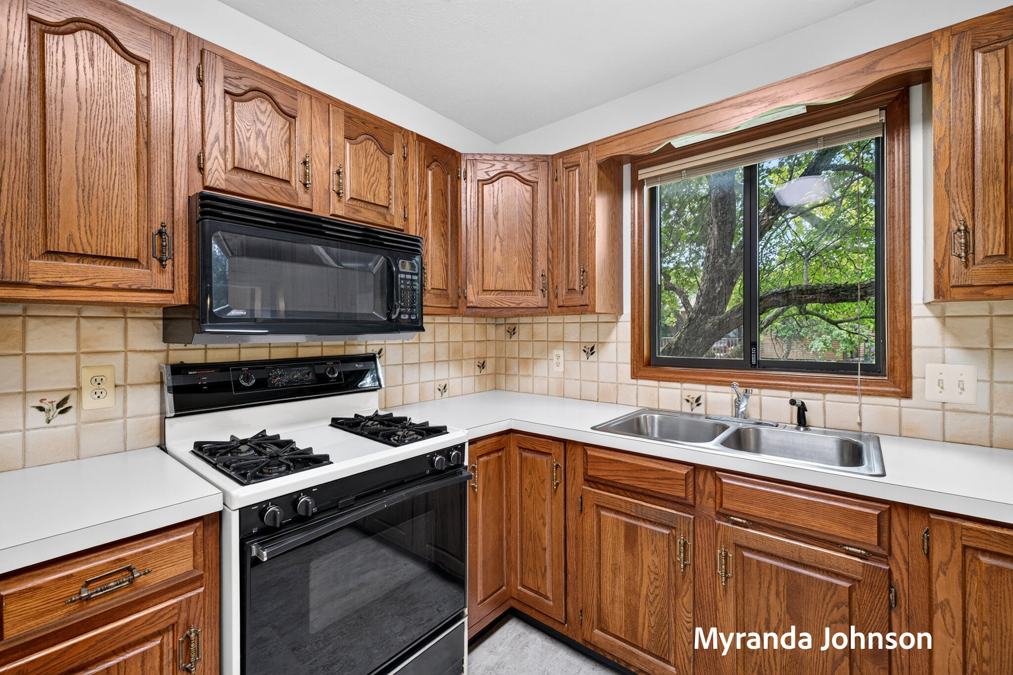 743 Bradford Place NE Grand Rapids MI 49525