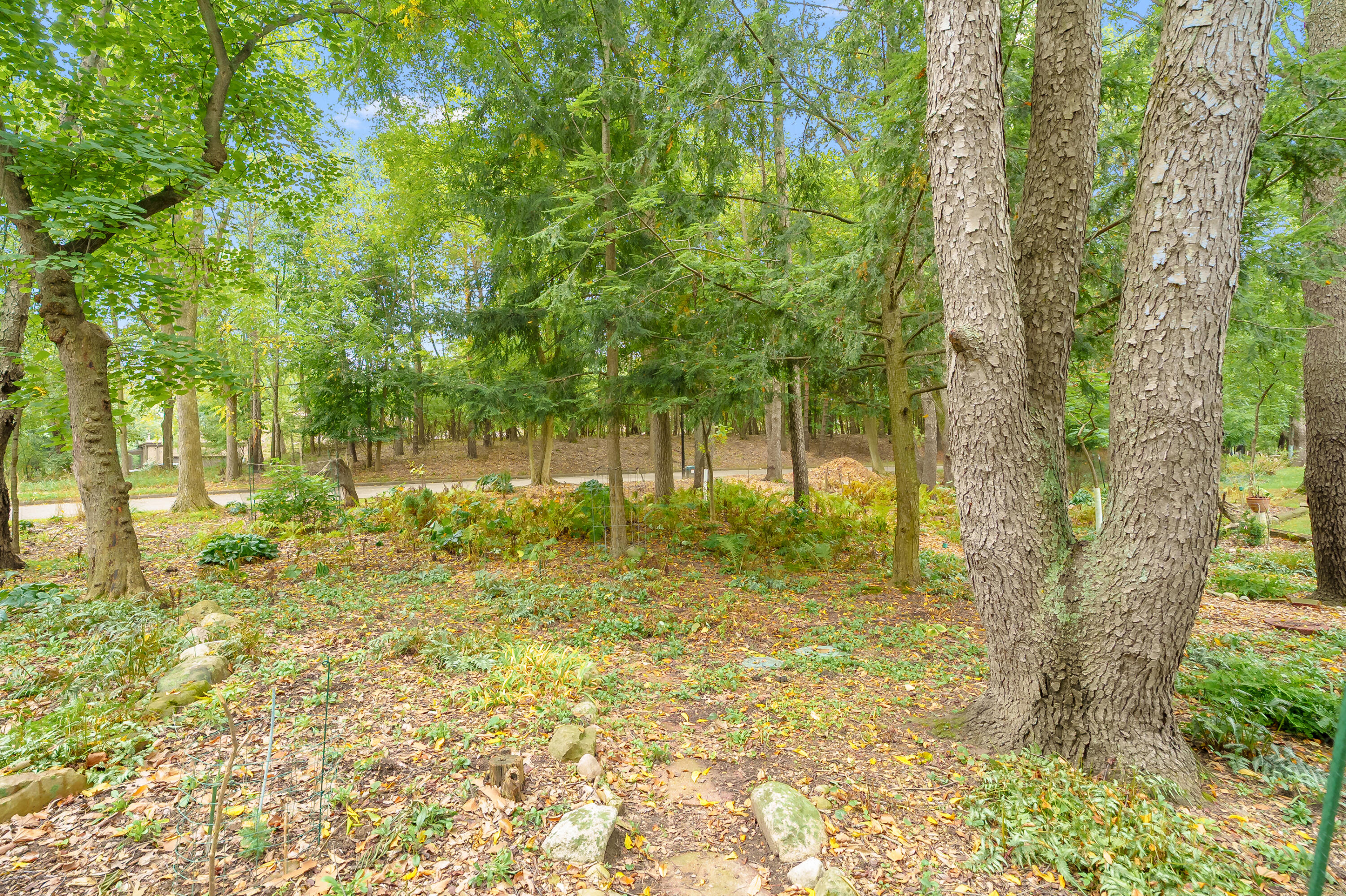 3747 Cedaridge Road Kalamazoo MI 49008