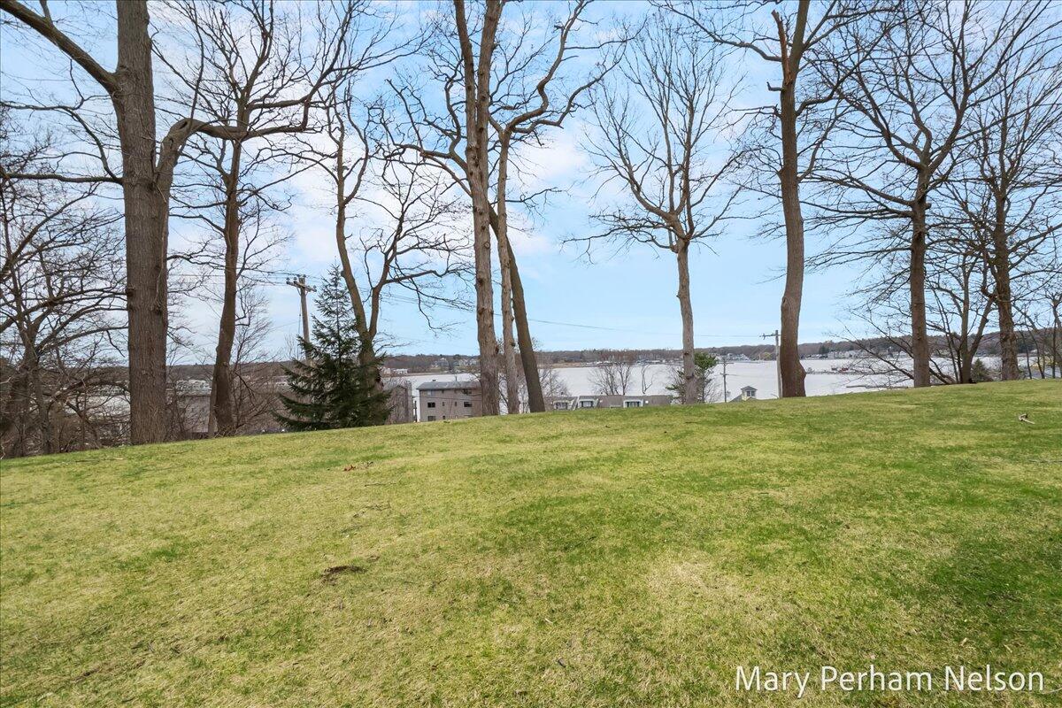 124 Elizabeth Street Saugatuck MI 49453