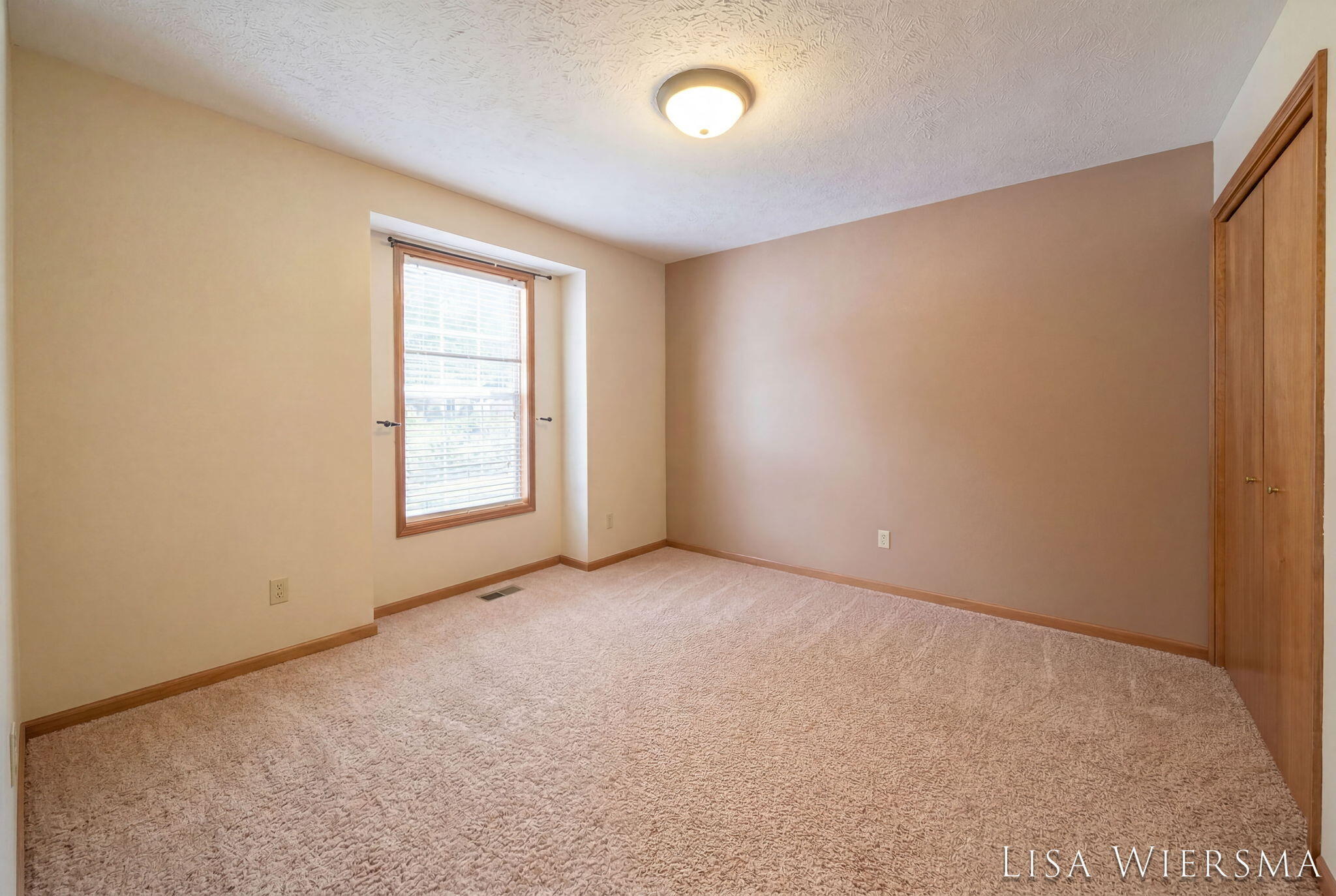 11967 Willow Wood Lane S Holland MI 49424