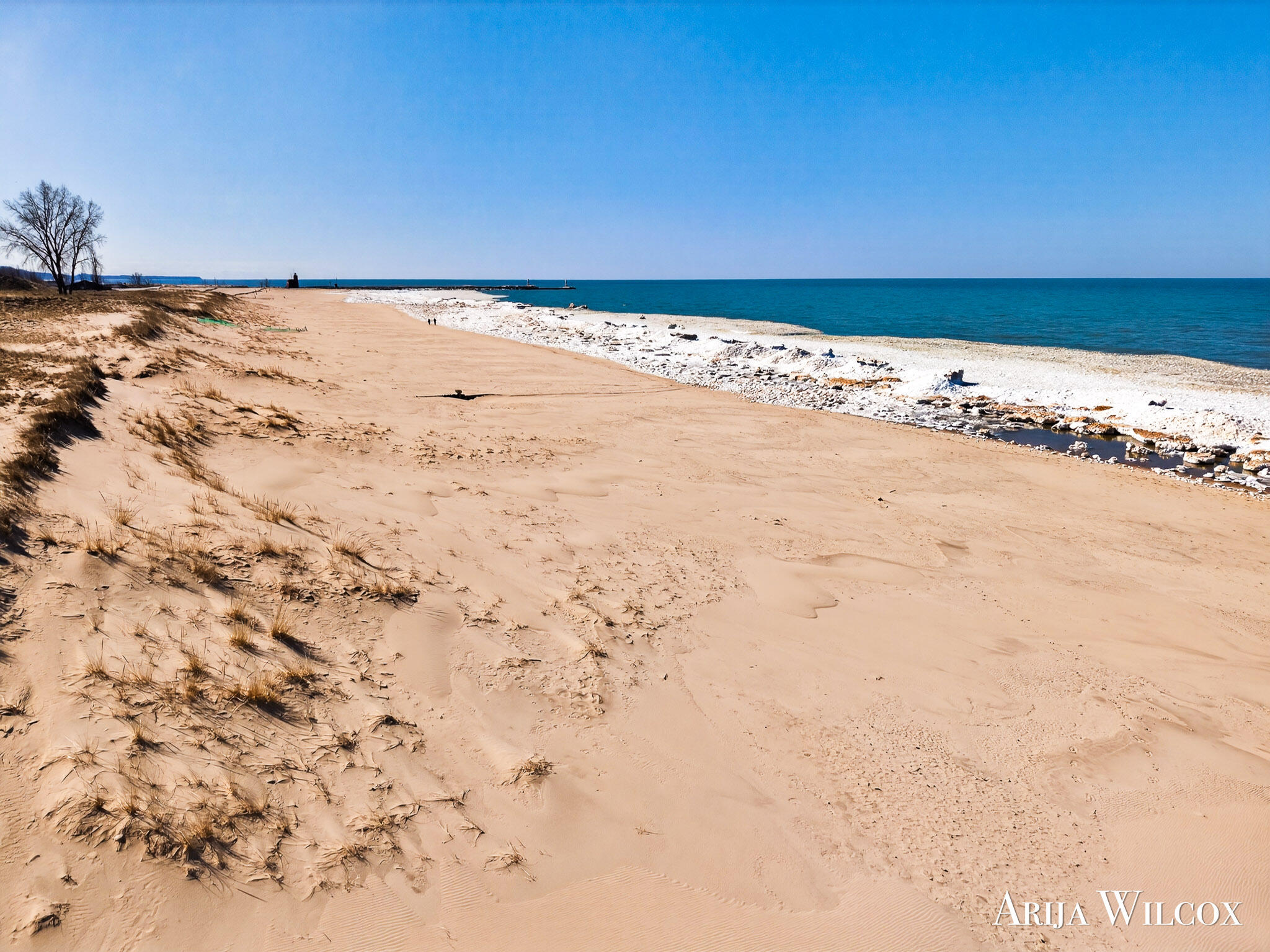 736 Spyglass Hill Holland MI 49424