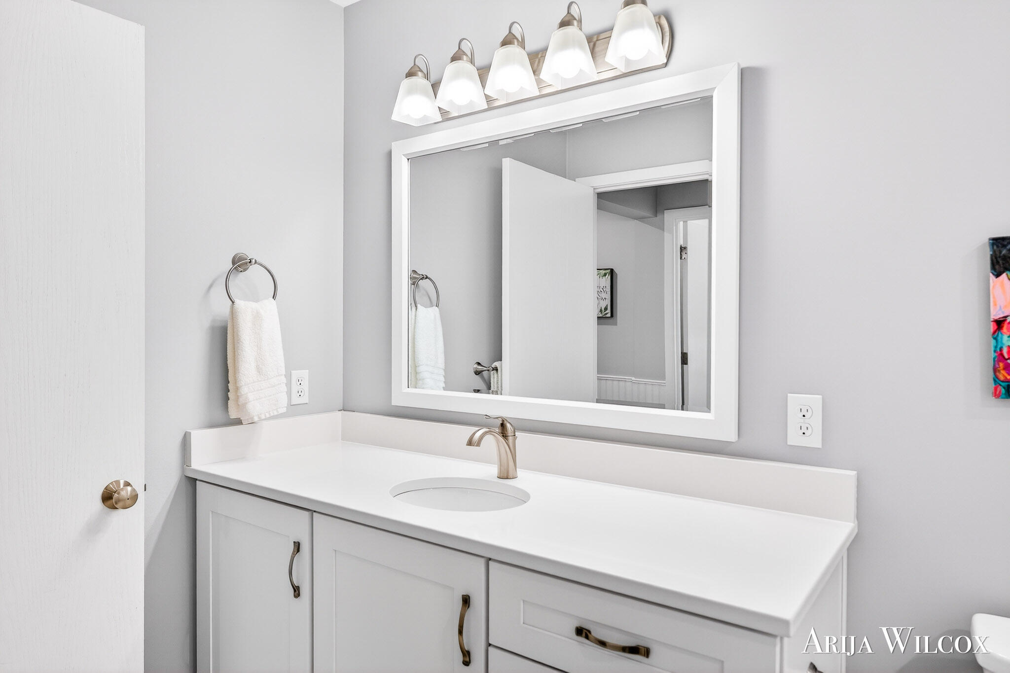 736 Spyglass Hill Holland MI 49424