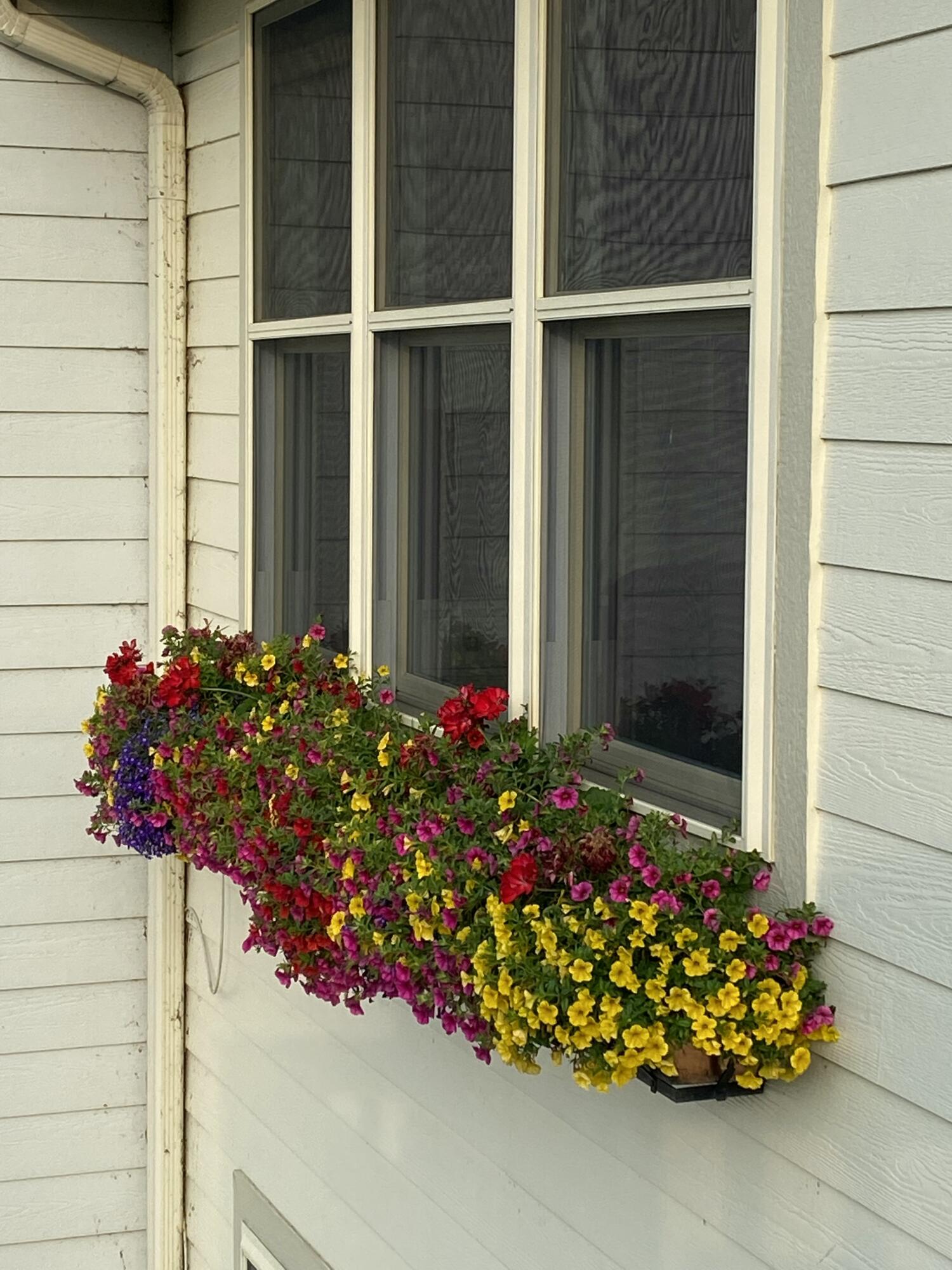 201 B Garden Terrace Douglas MI 49406