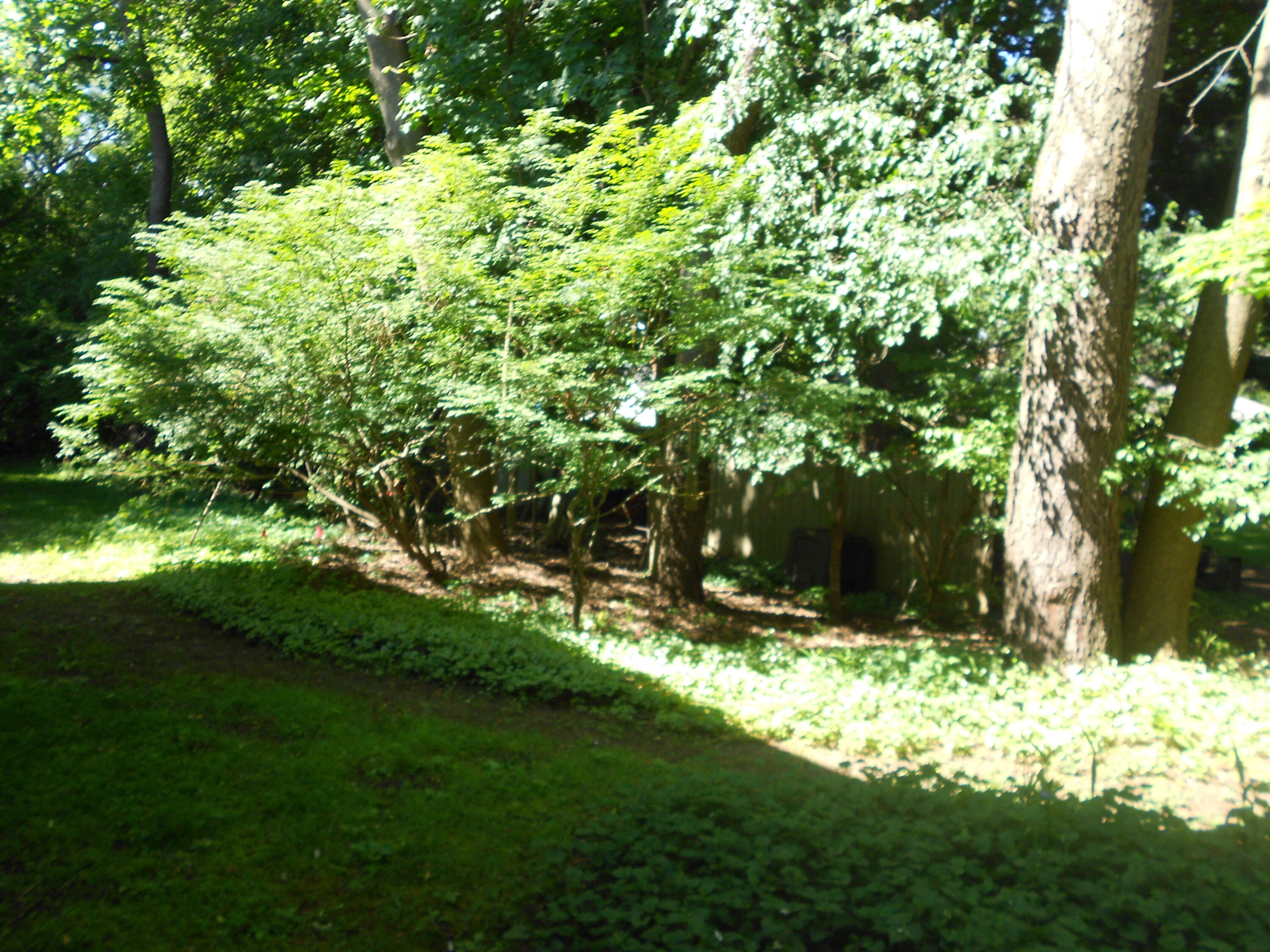 129 Balmoral Court Kalamazoo MI 49006