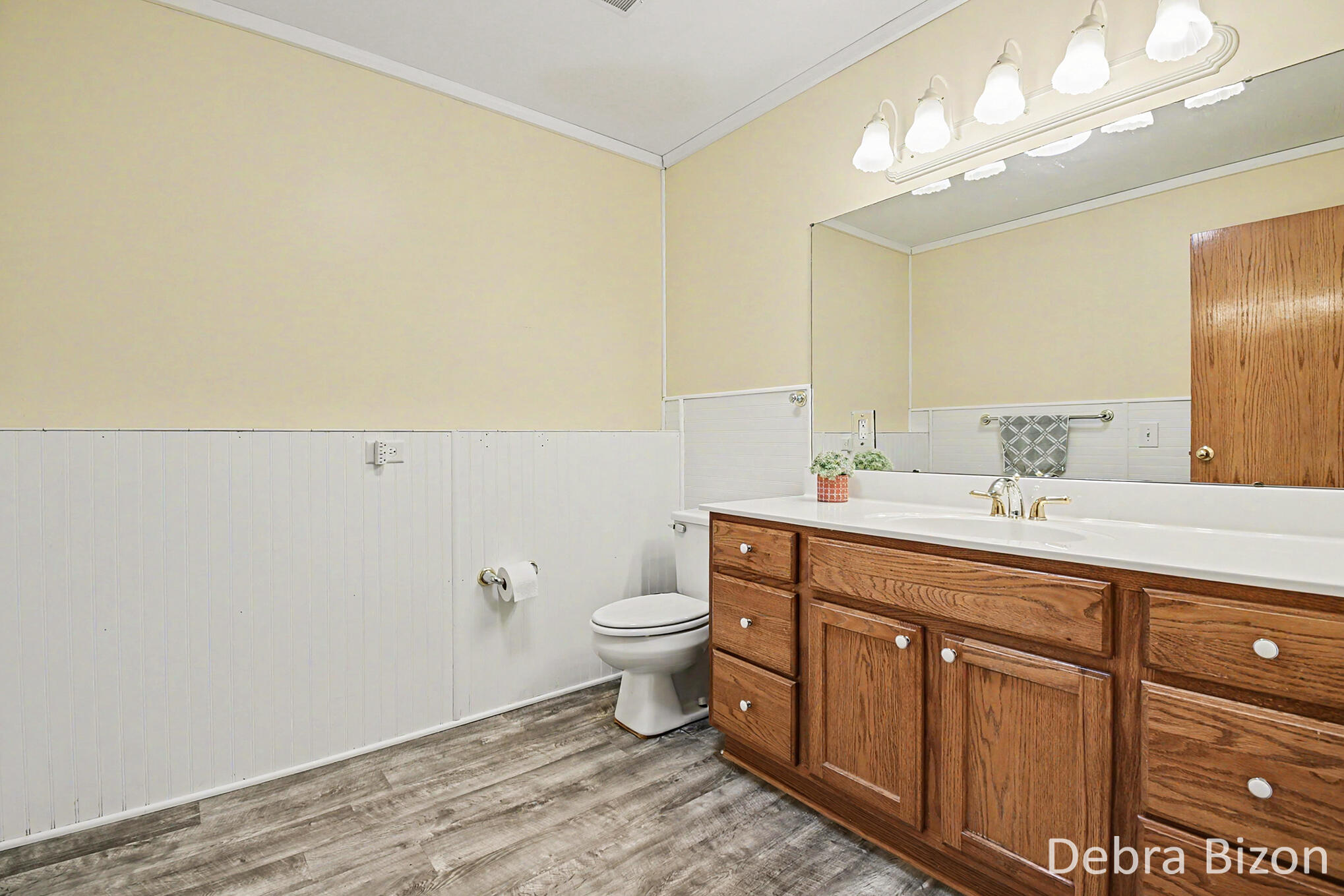 1573 Dexter Street SW Byron Center MI 49315