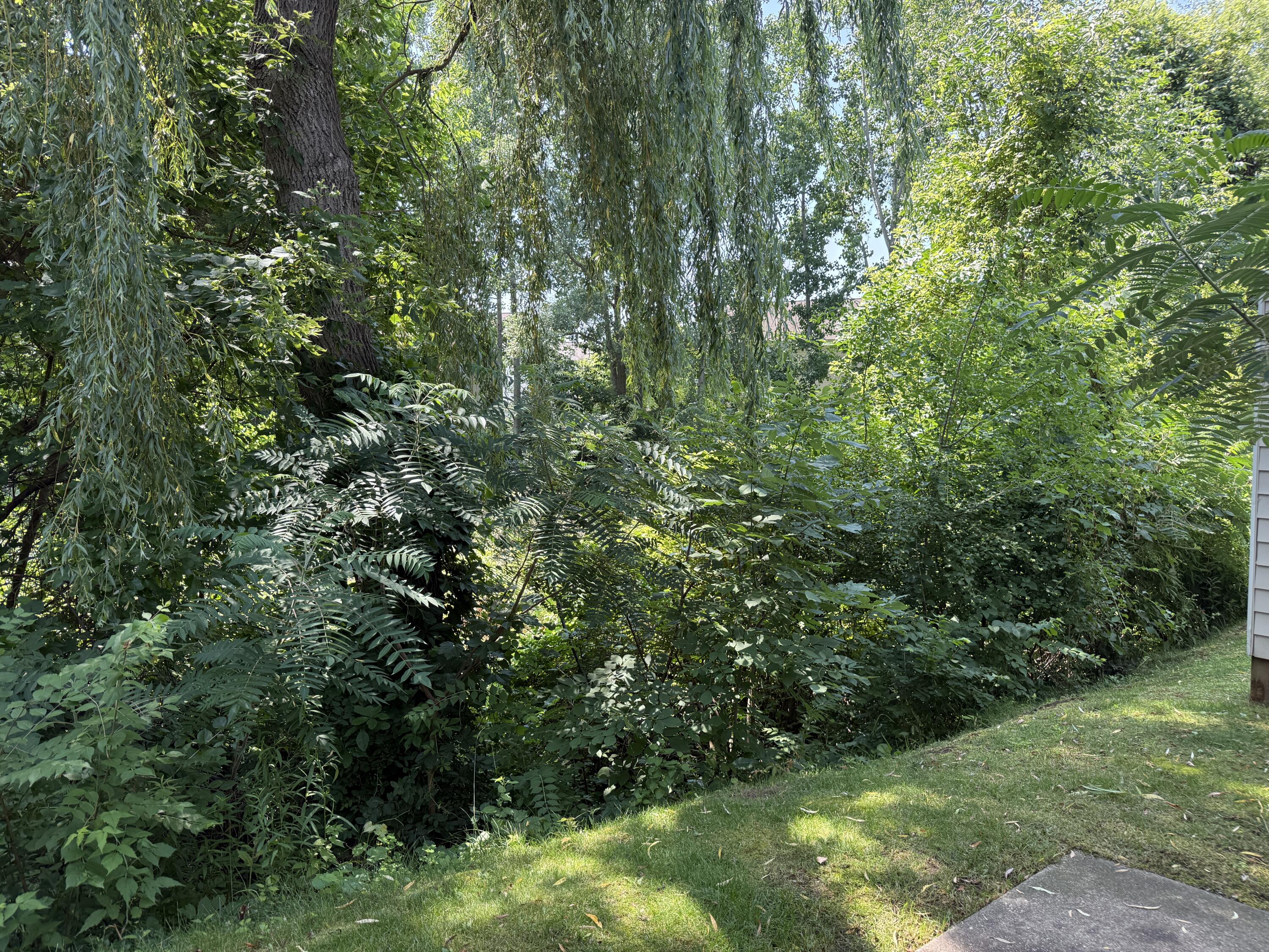 7034 S Cannon Place Drive NE Rockford MI 49341