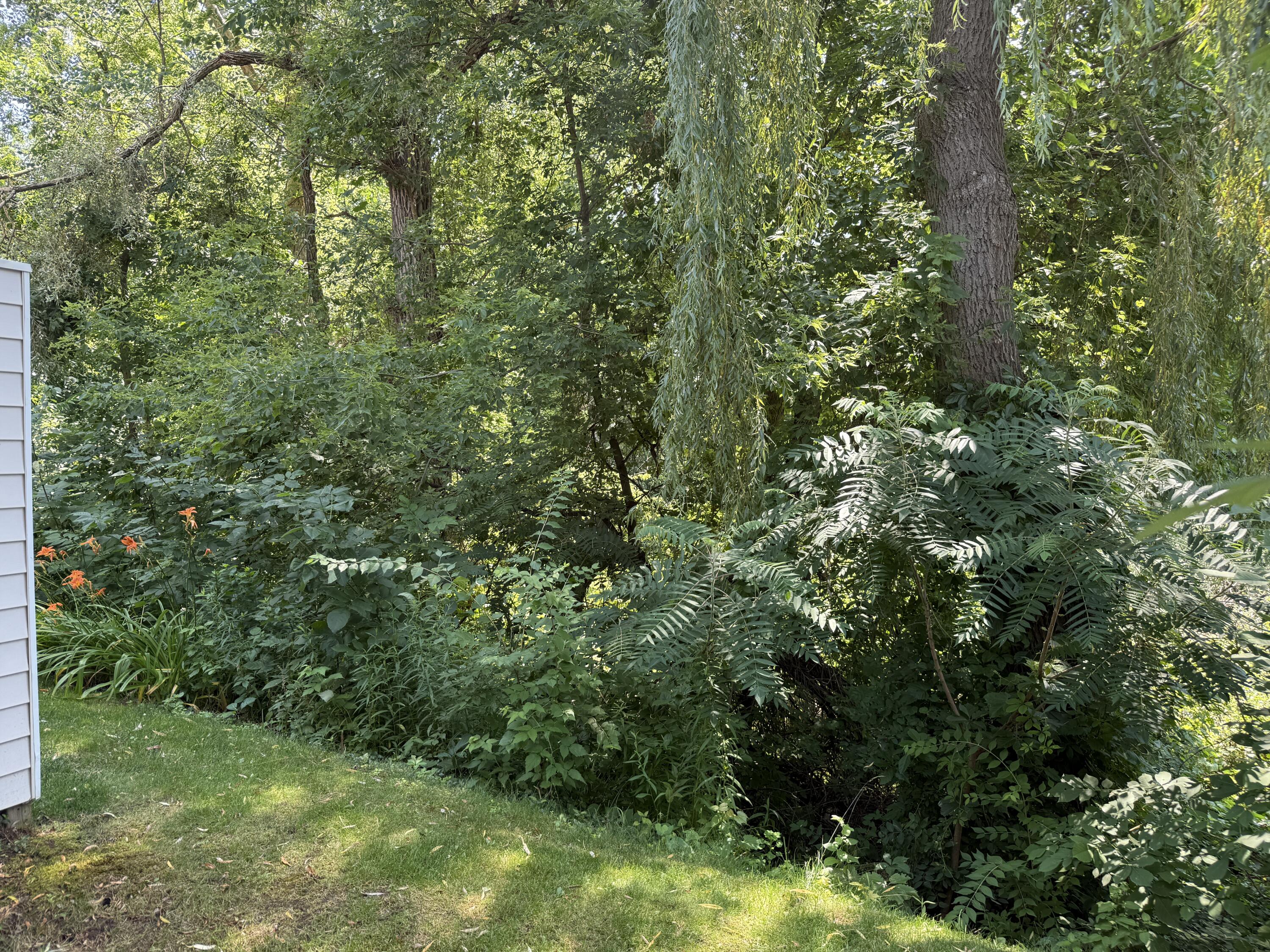 7034 S Cannon Place Drive NE Rockford MI 49341