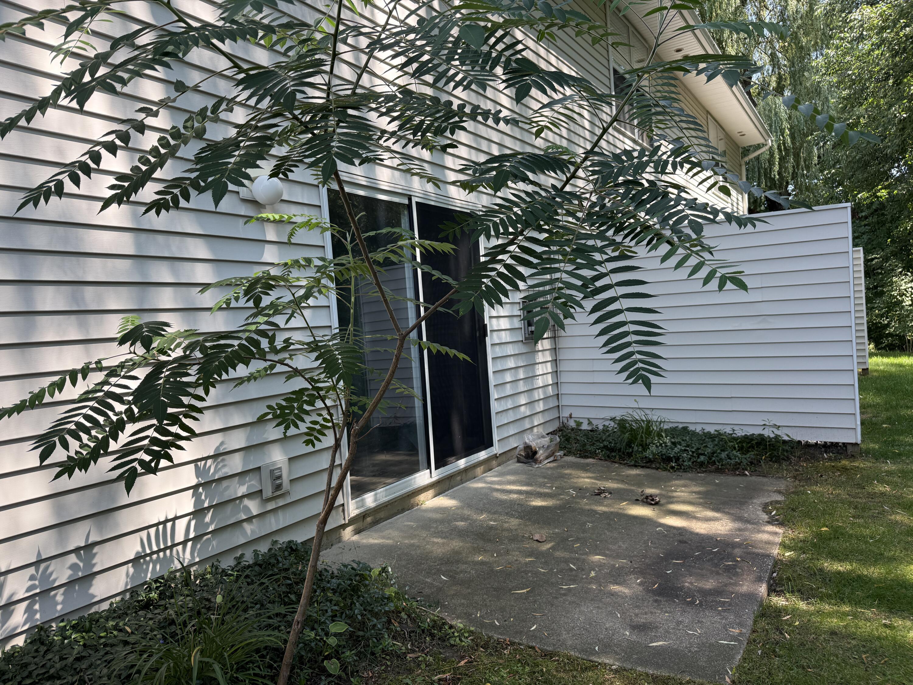 7034 S Cannon Place Drive NE Rockford MI 49341