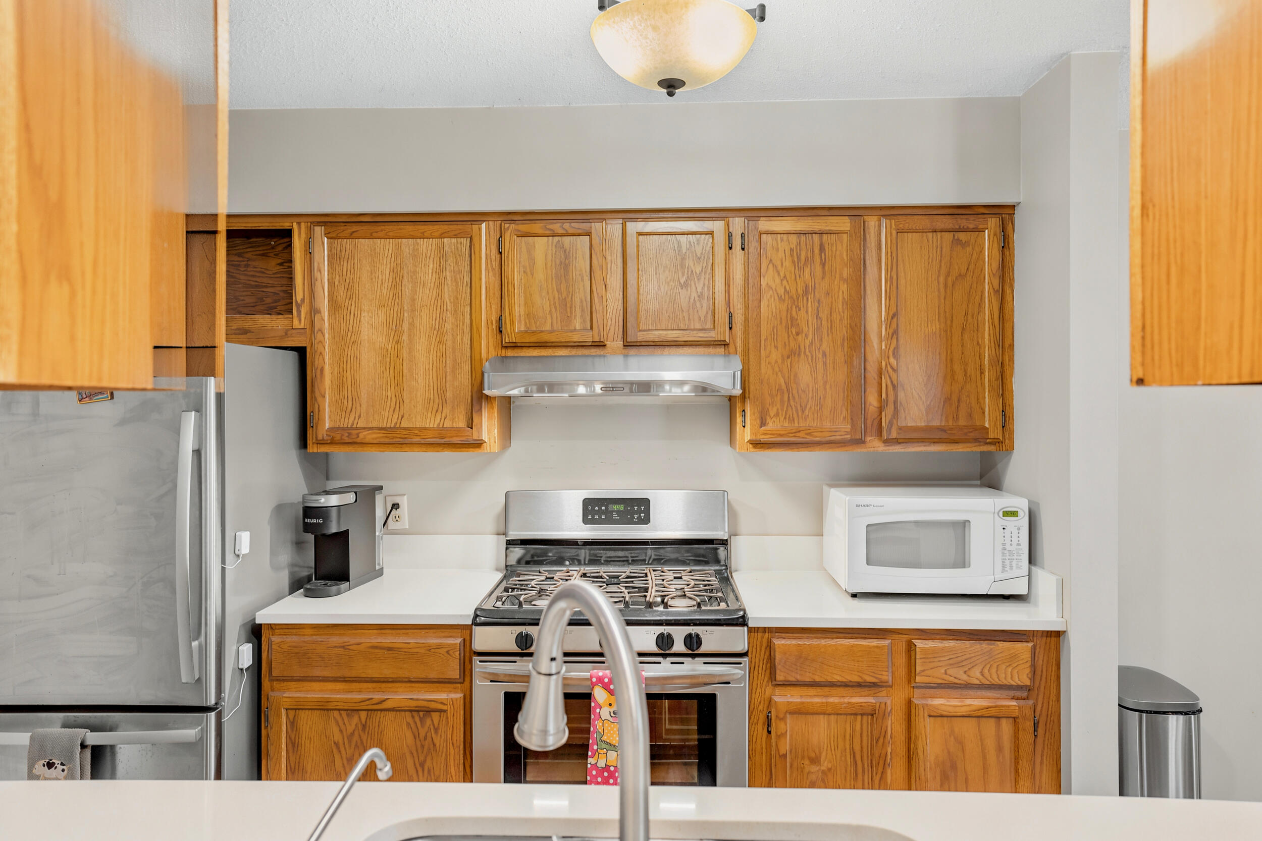 1116 Ambertrace Lane Holland MI 49424