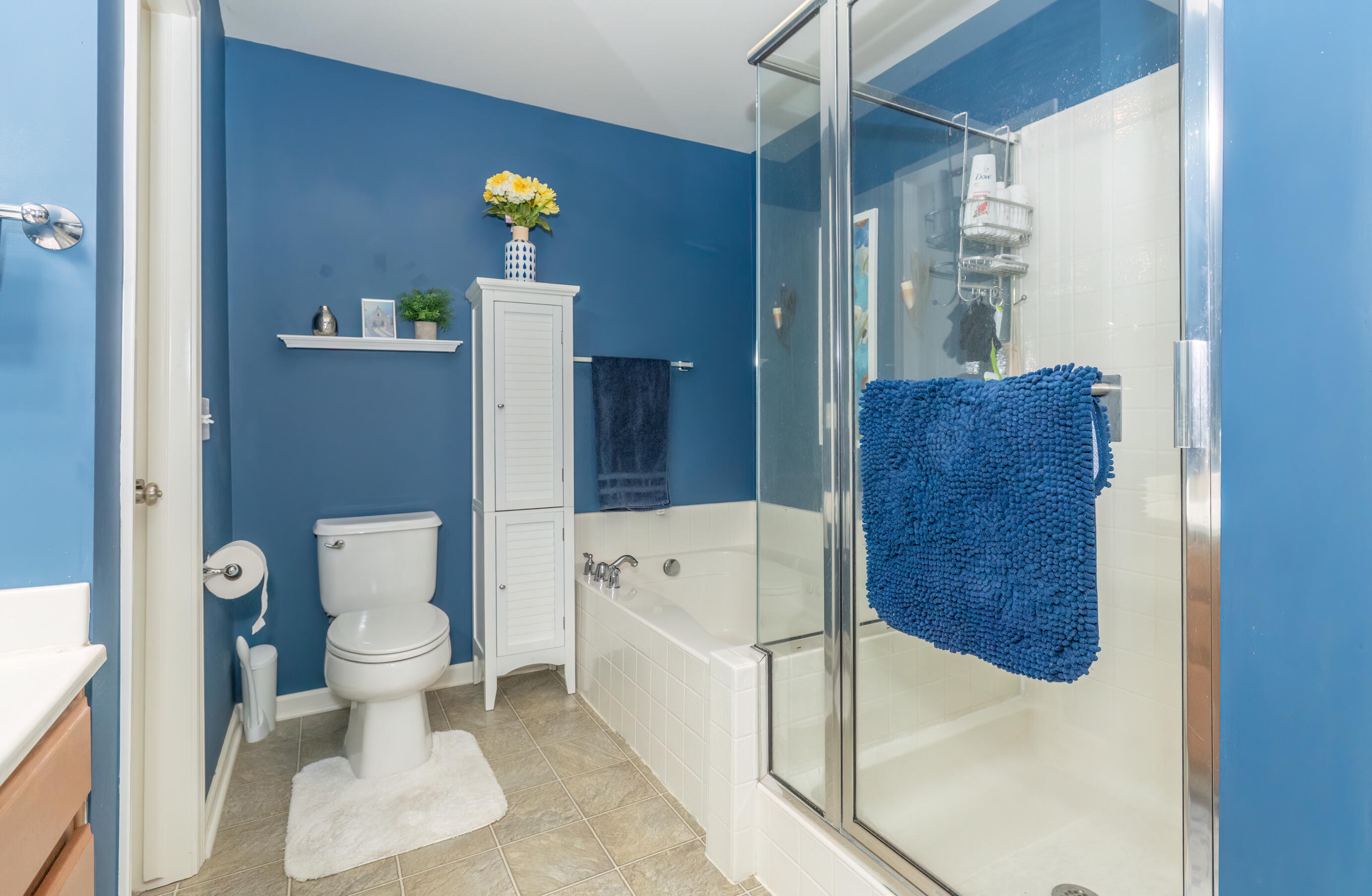 12670 Broadmoor Place Grand Haven MI 49417