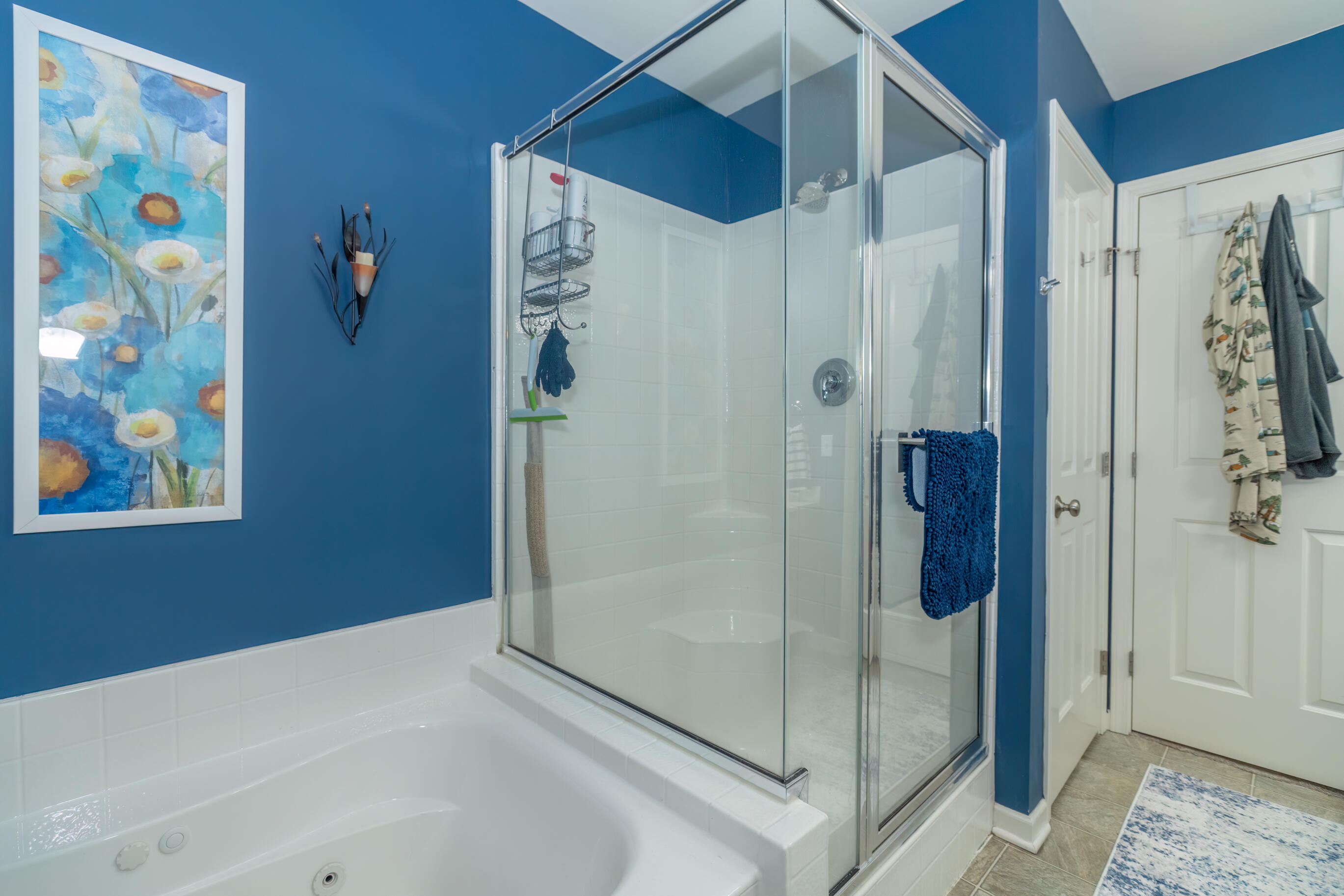 12670 Broadmoor Place Grand Haven MI 49417