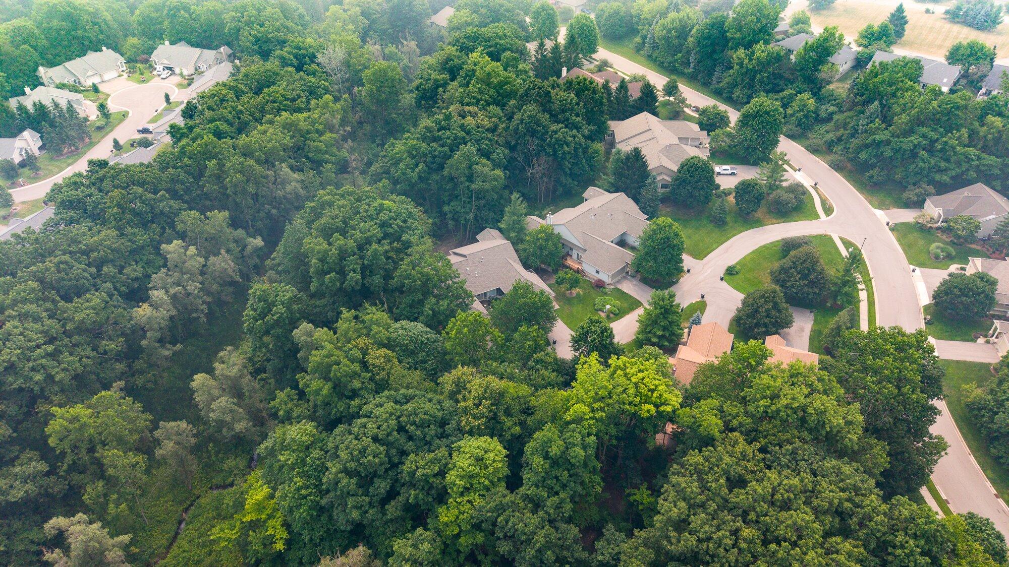 1718 Big Timber Court NE Grand Rapids MI 49505