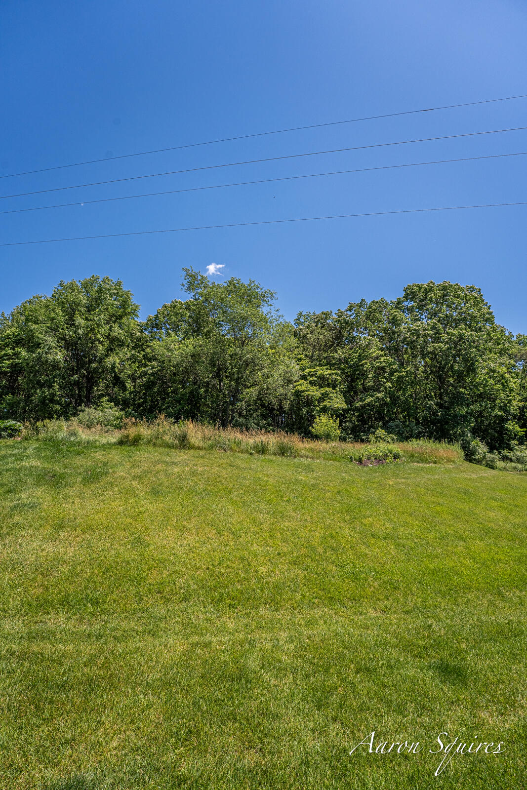 8262 Autumn Acres Drive NE Rockford MI 49341