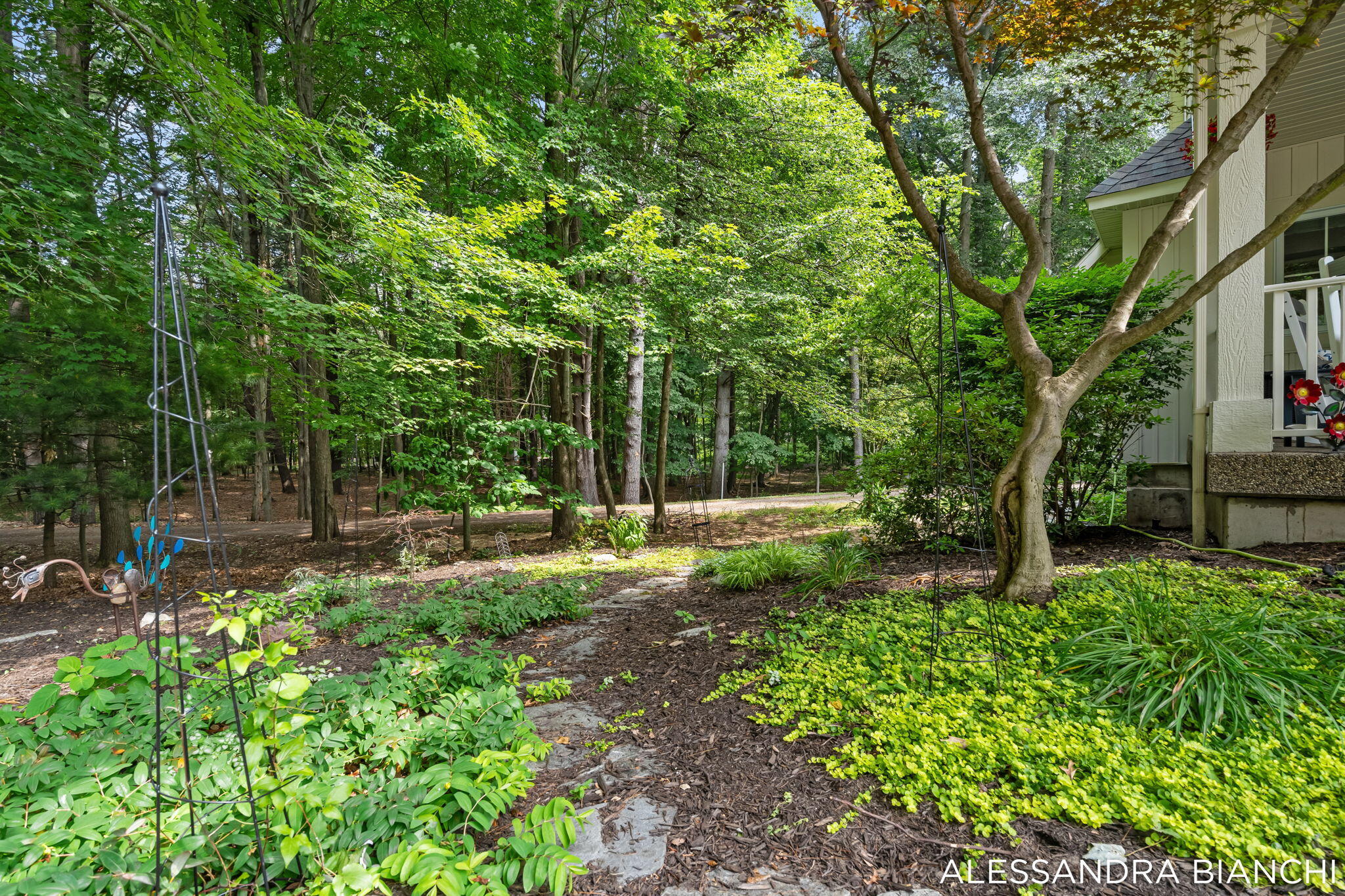 1955 Bower Street Holland MI 49424