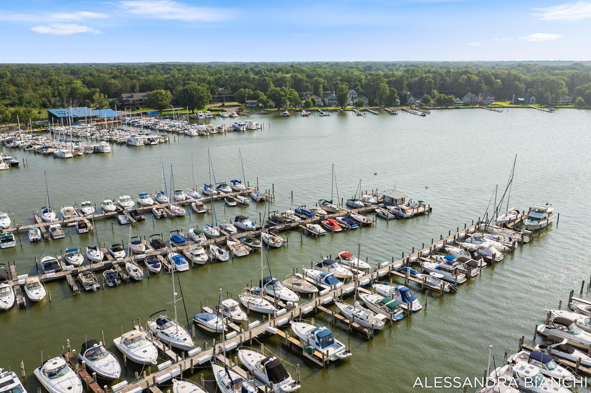 1955 Bower Street Holland MI 49424