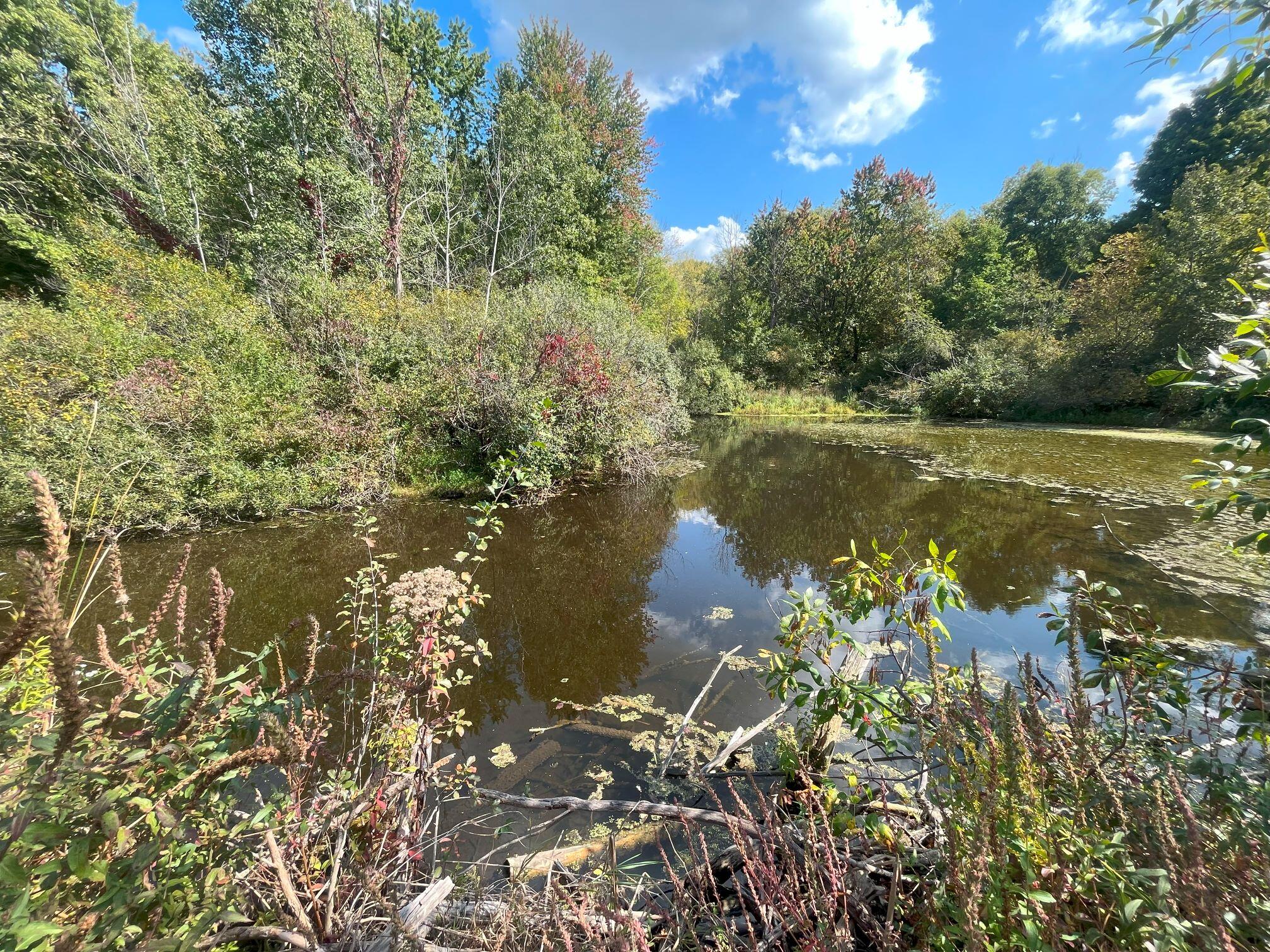 5073 Coit Avenue NE Grand Rapids MI 49525