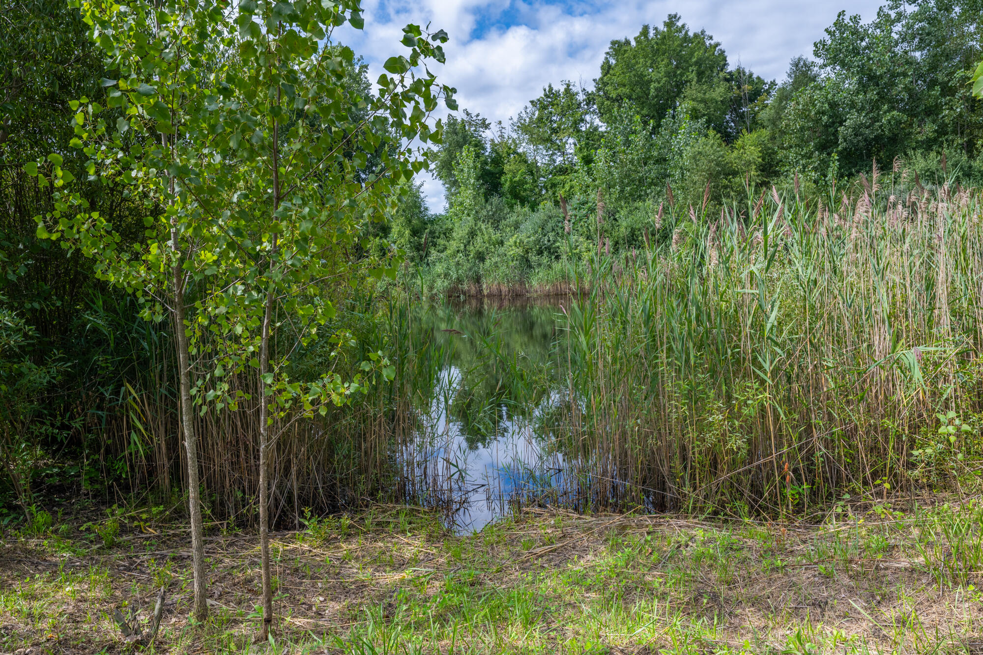 35322 72nd Street Covert MI 49043