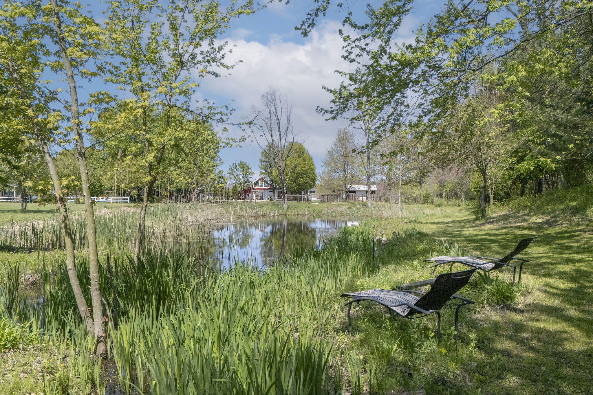 11971 S Hildebrandt Road Sawyer MI 49125