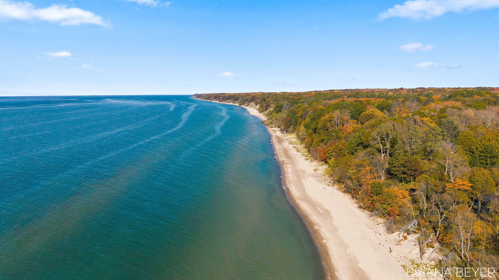 3 Acres Lakeshore Drive Fennville MI 49408