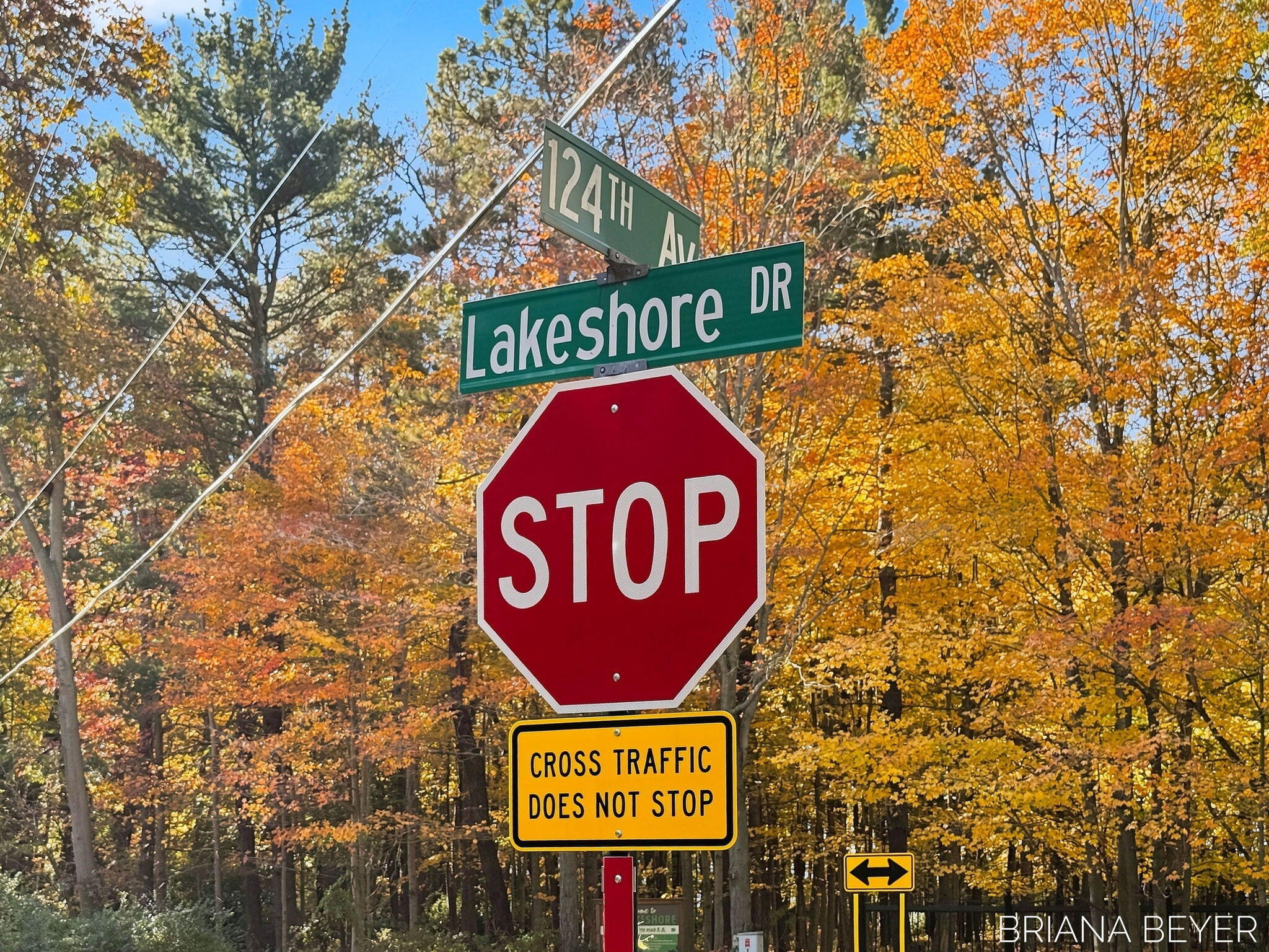 3 Acres Lakeshore Drive Fennville MI 49408