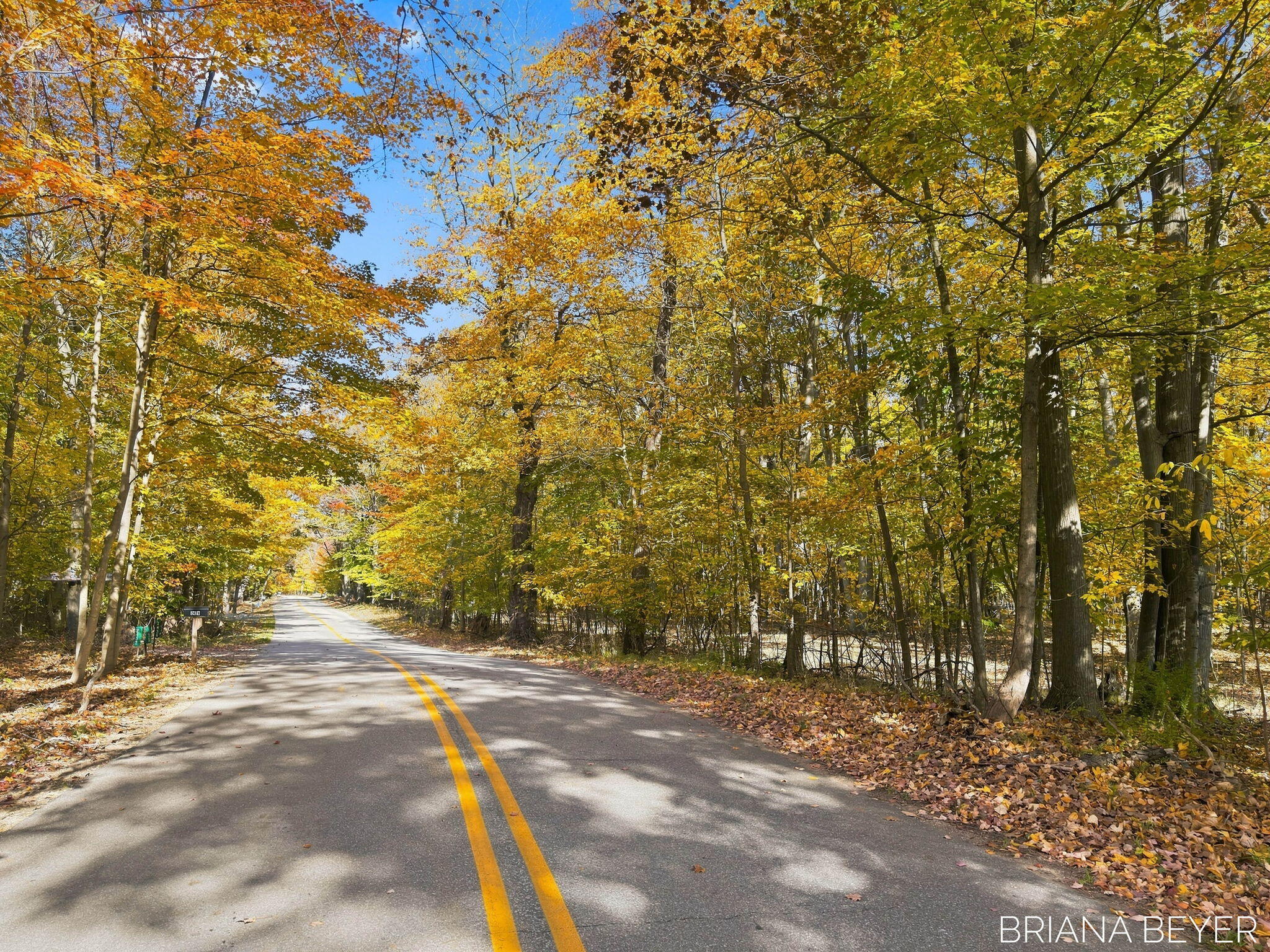 3 Acres Lakeshore Drive Fennville MI 49408