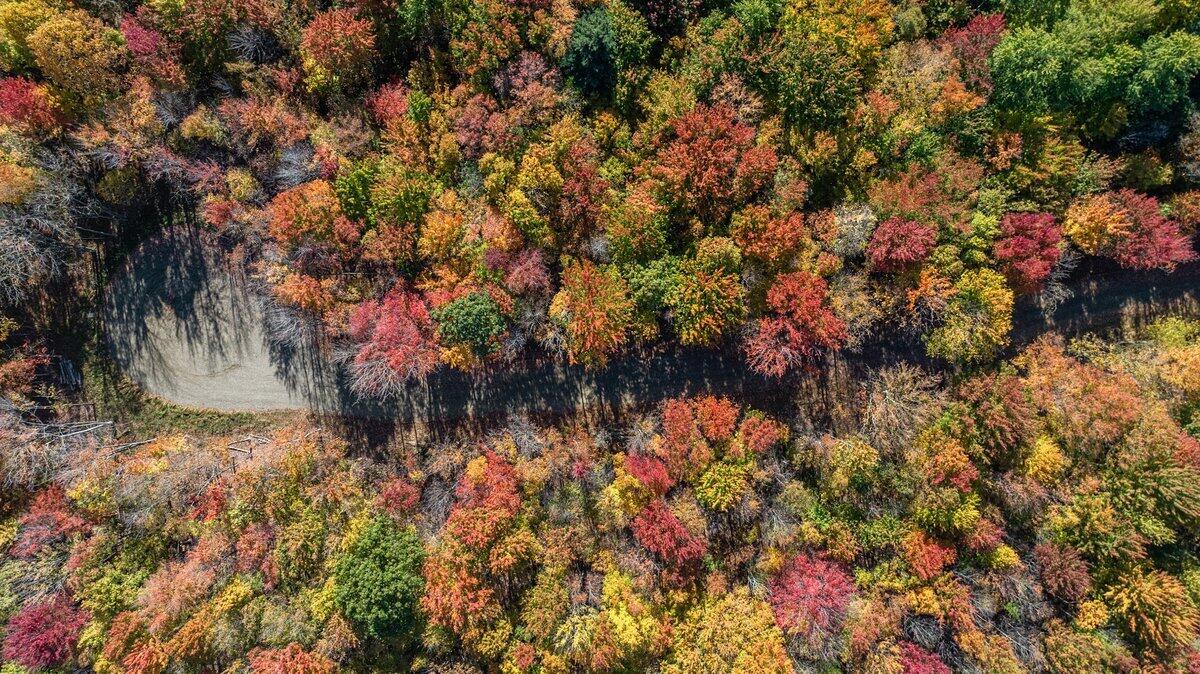 Lot 2 Christopher Court South Haven MI 49090