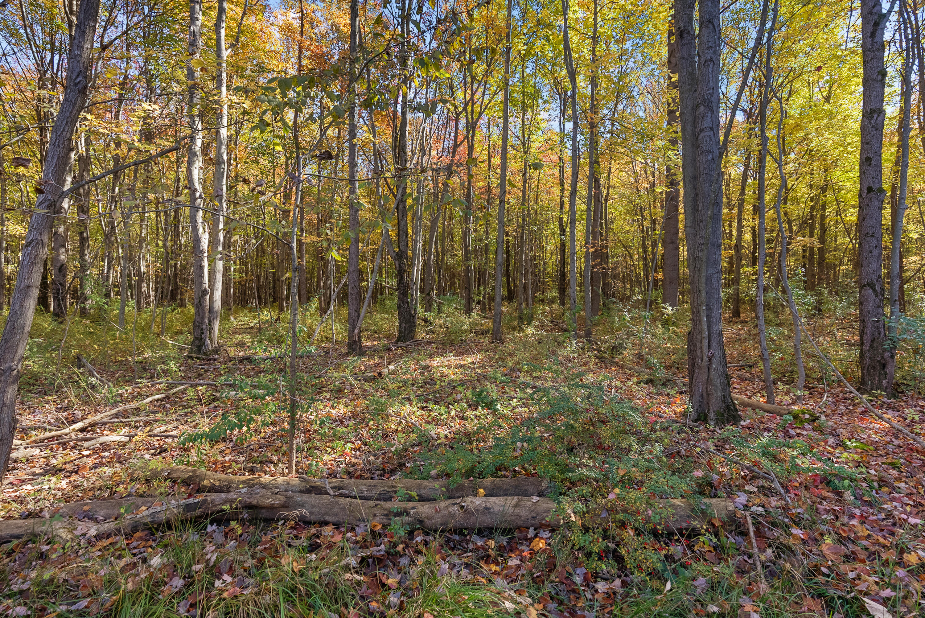 Lot 2 Christopher Court South Haven MI 49090