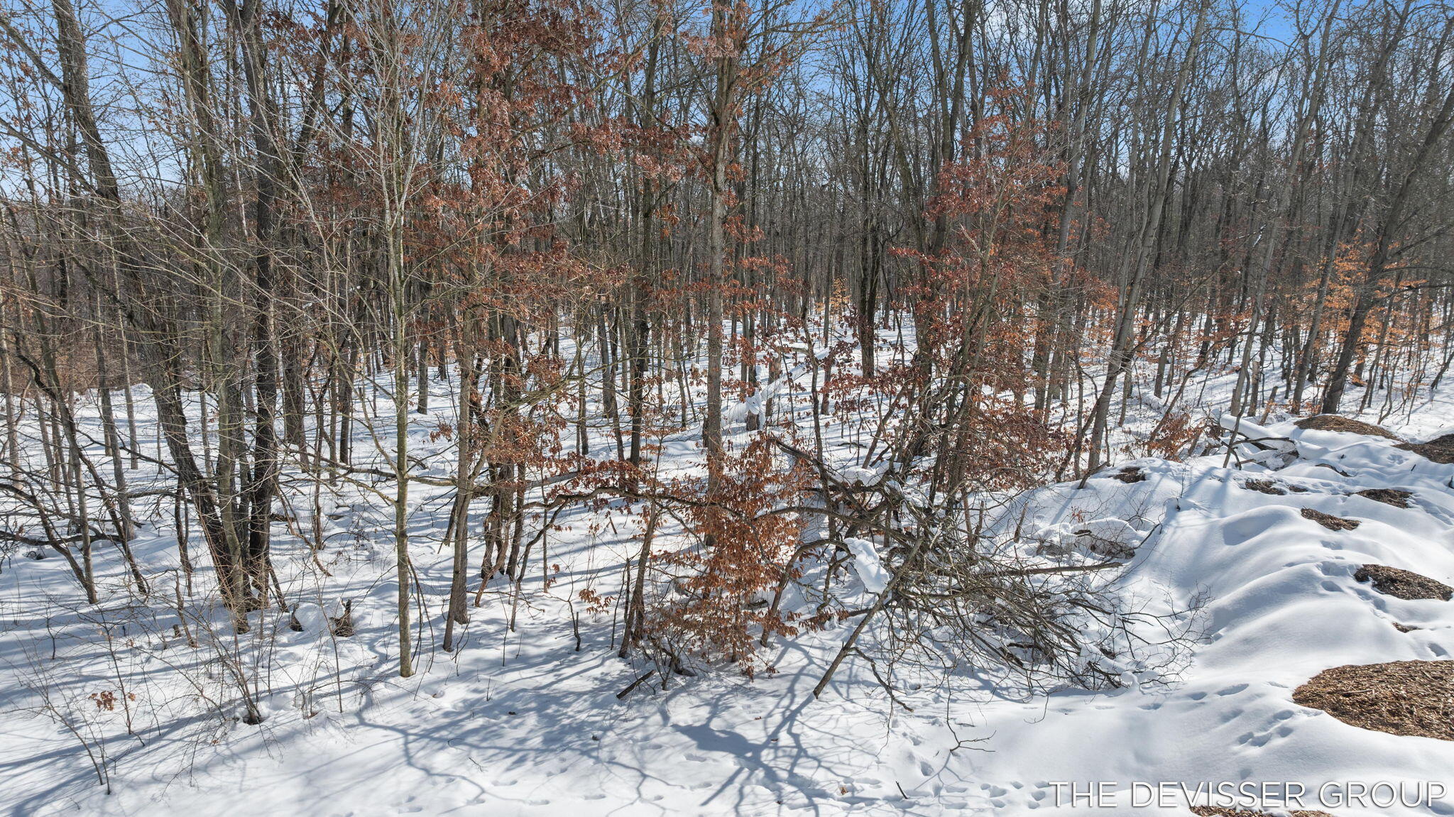 D Rolling Ridge Road Avenue Allegan MI 49010