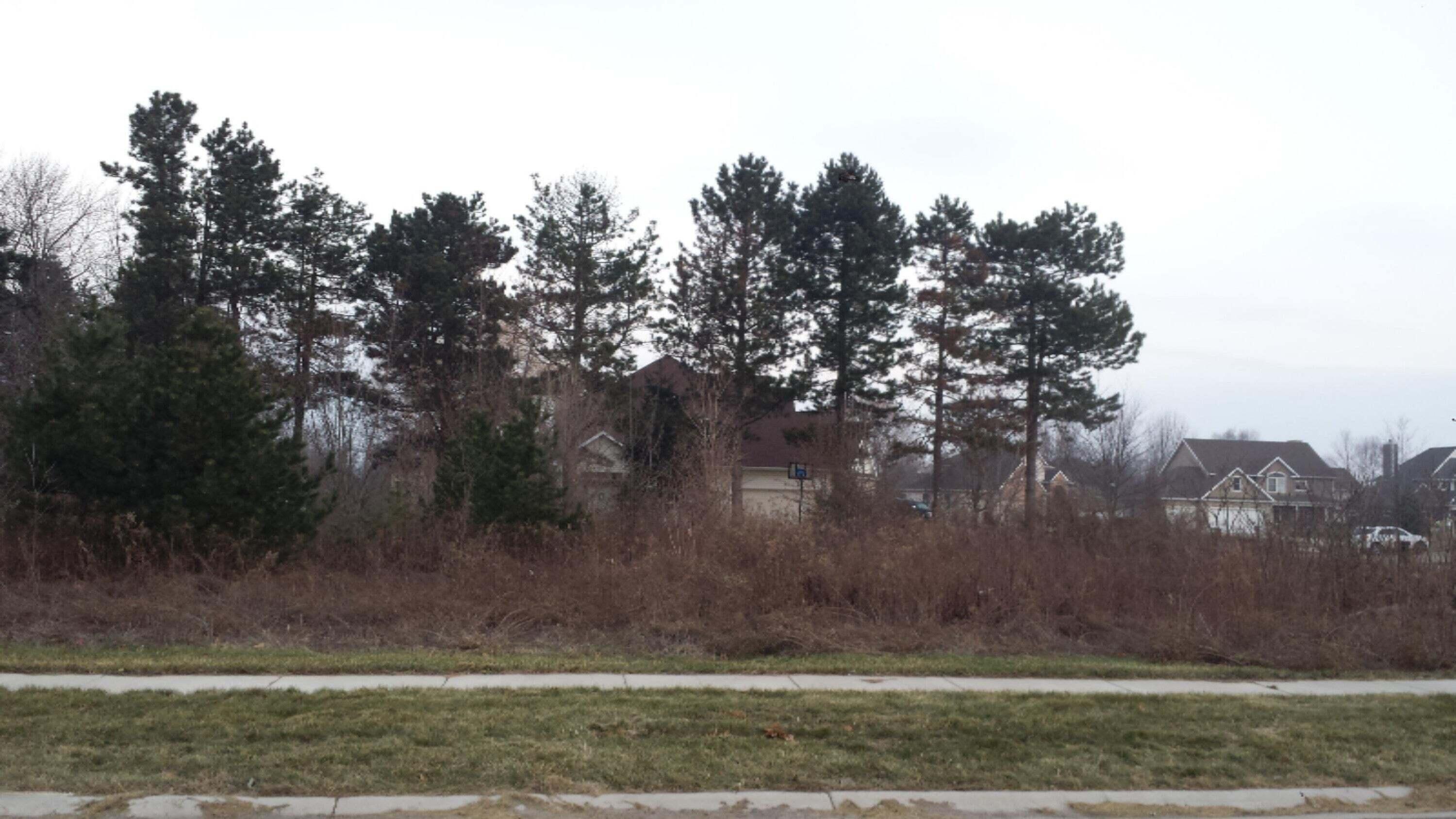 6281 Lara Lane Stevensville MI 49127
