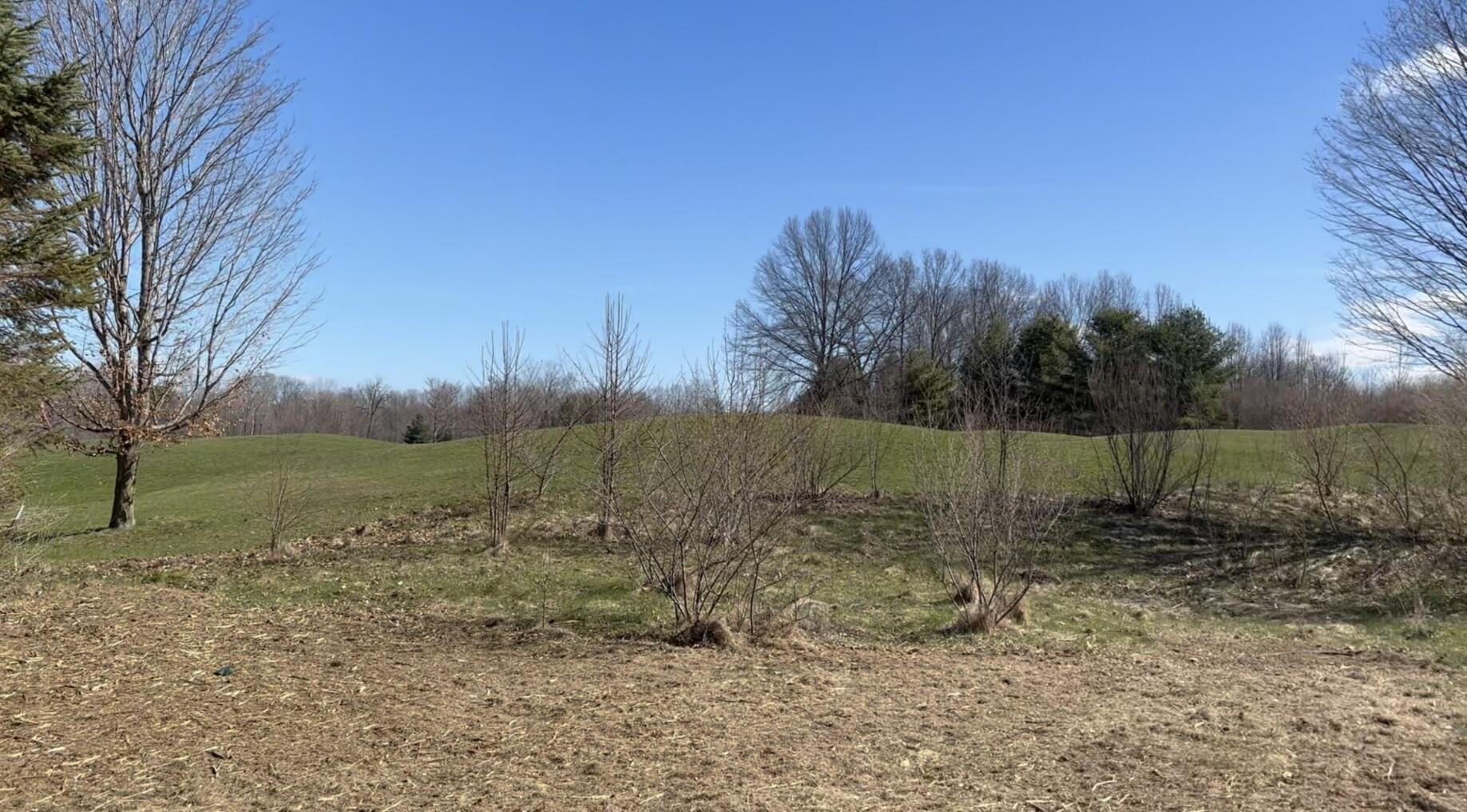 19529 Kluver Road New Buffalo MI 49117