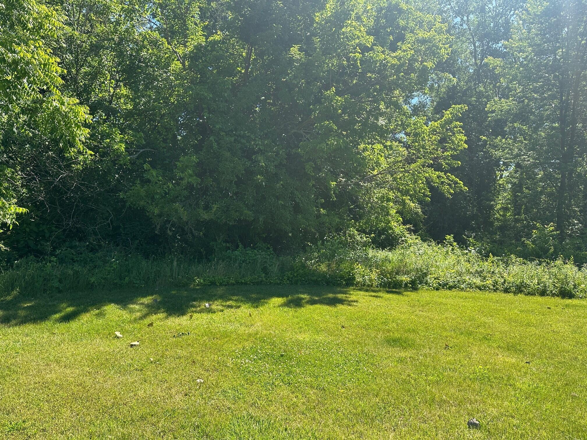 109 Diamond Point Lane New Buffalo MI 49117