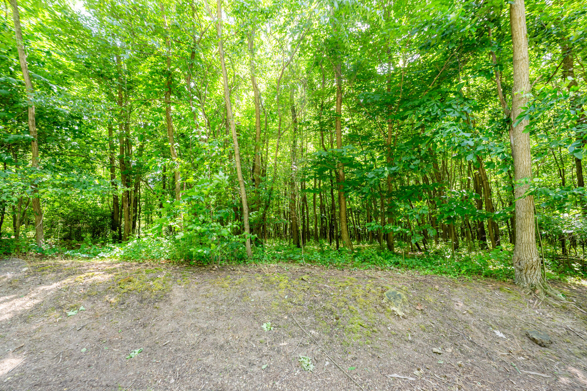 4172 Pine Wood Drive Benton Harbor MI 49022