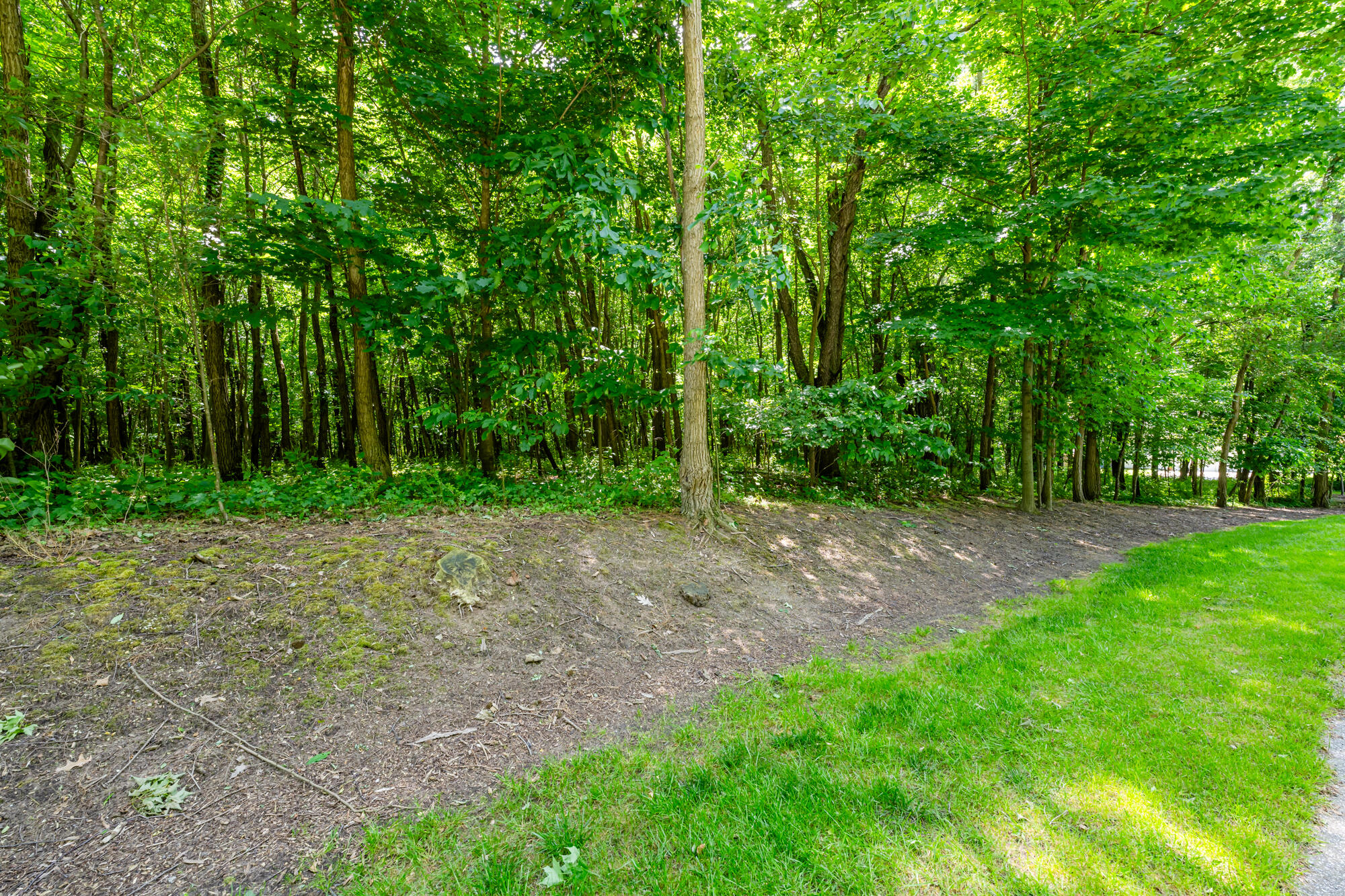 4172 Pine Wood Drive Benton Harbor MI 49022