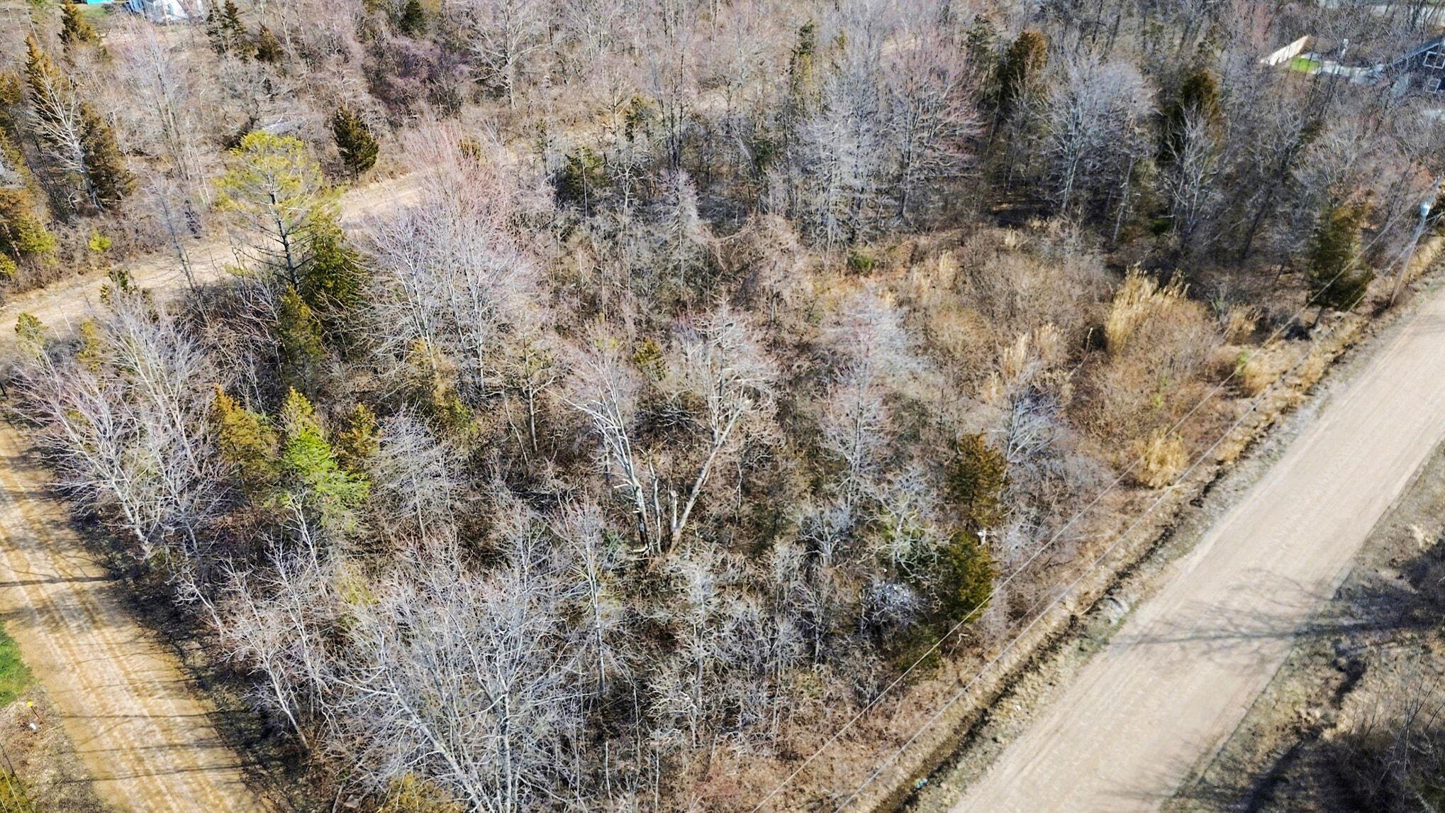 V/l Orchard Road South Haven MI 49090