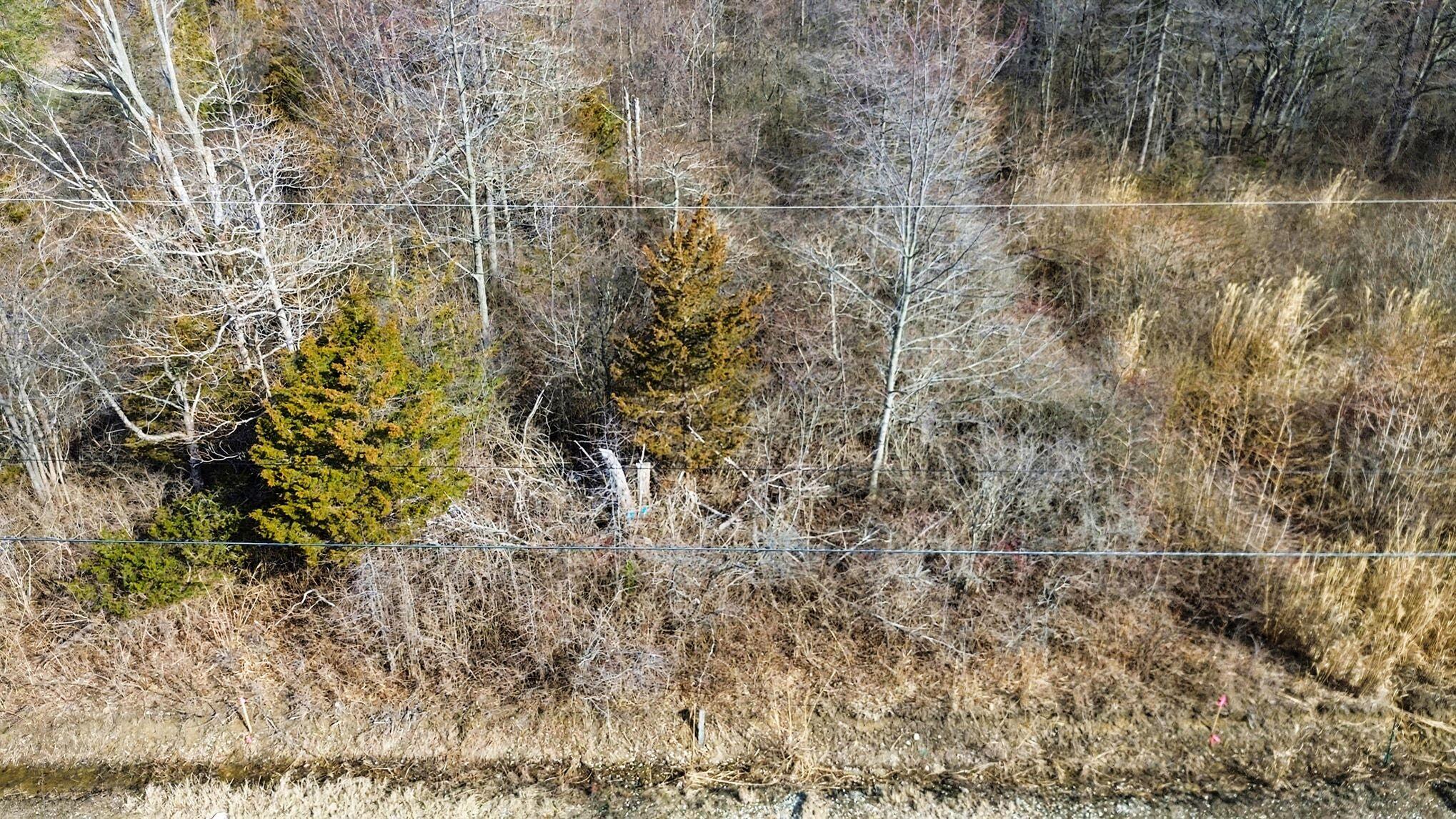 V/l Orchard Road South Haven MI 49090