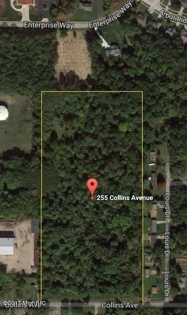 255 Collins Avenue Benton Harbor MI 49022