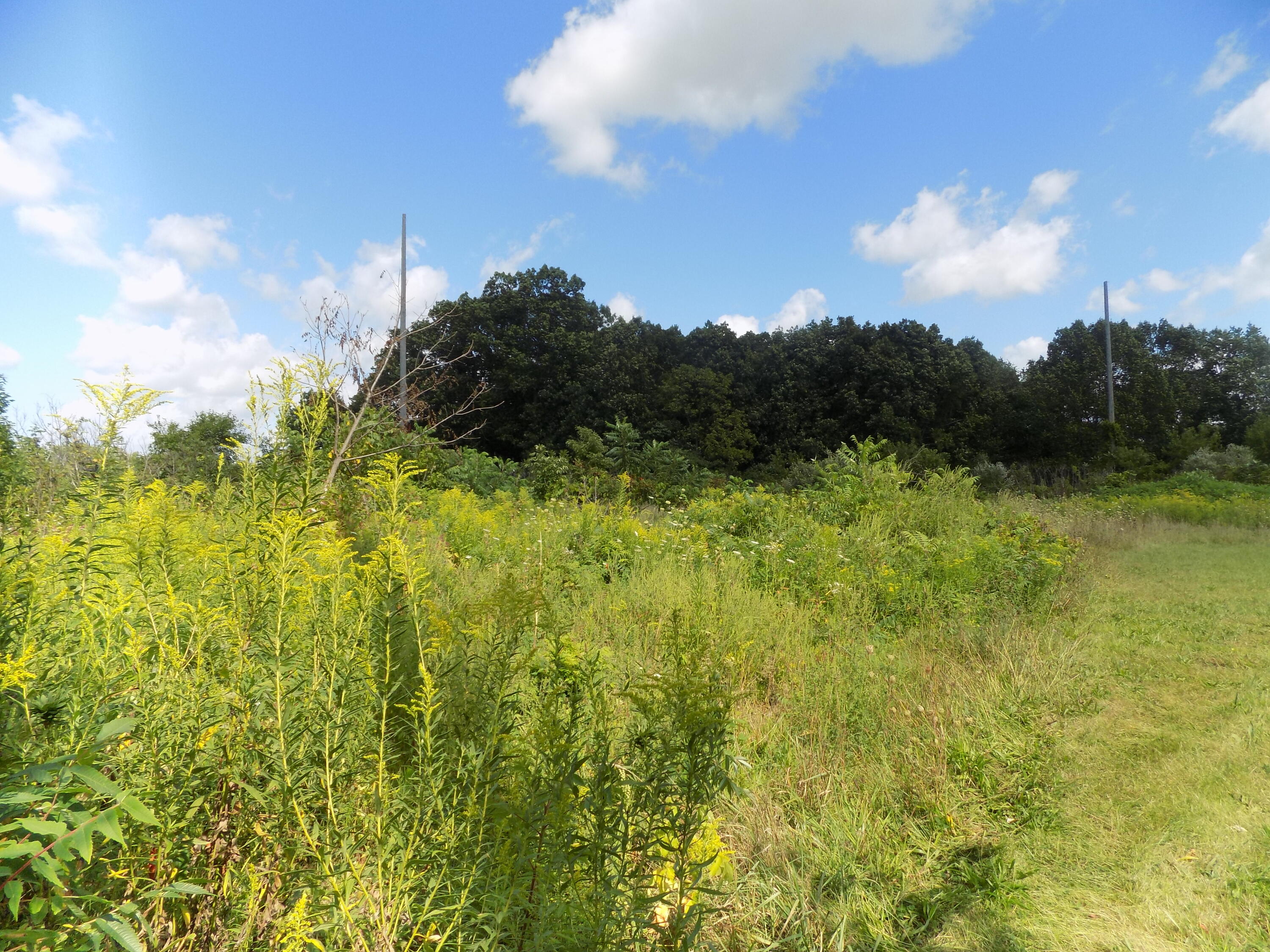 0 Mountain Road Coloma MI 49038