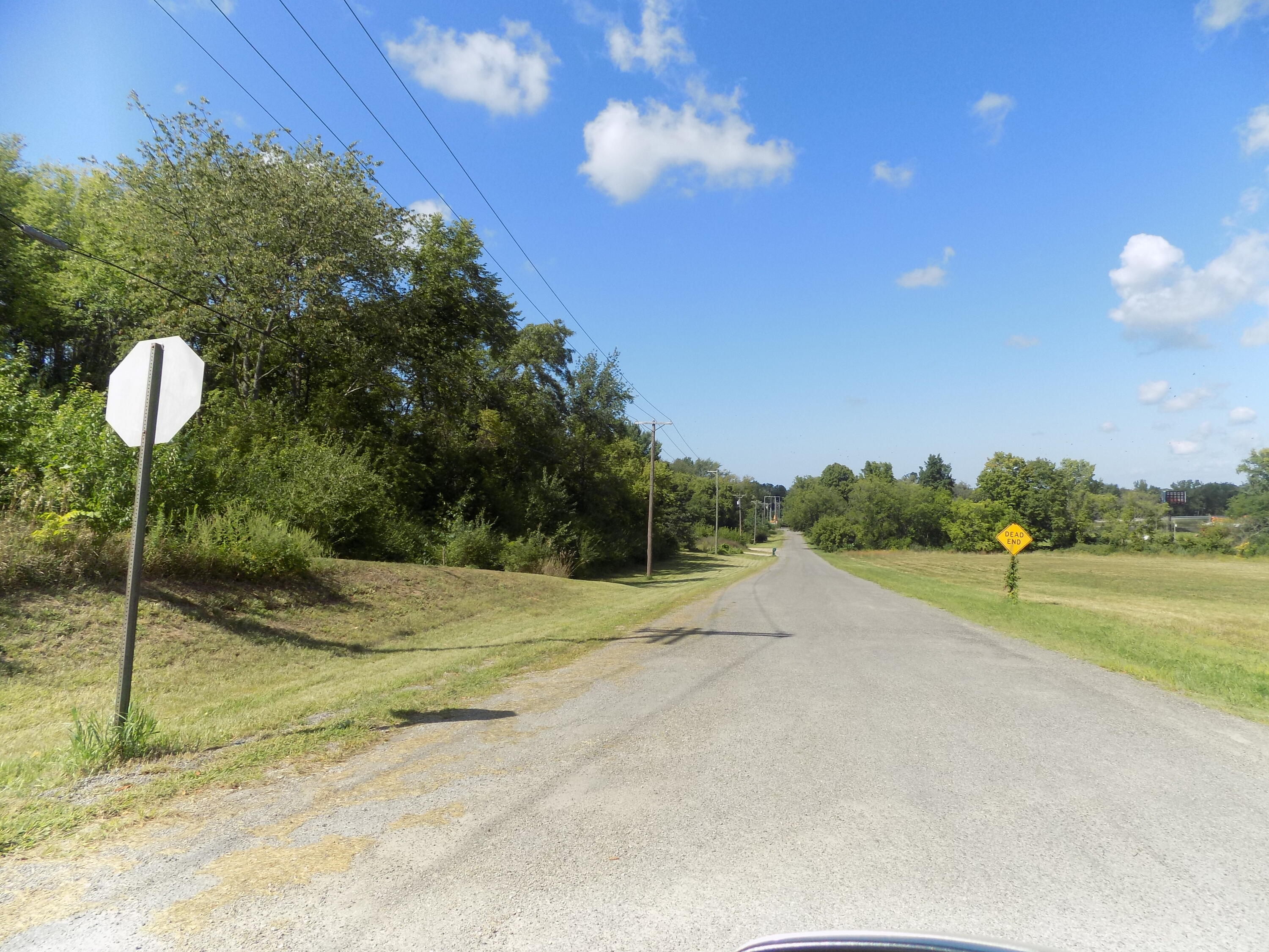 0 Mountain Road Coloma MI 49038