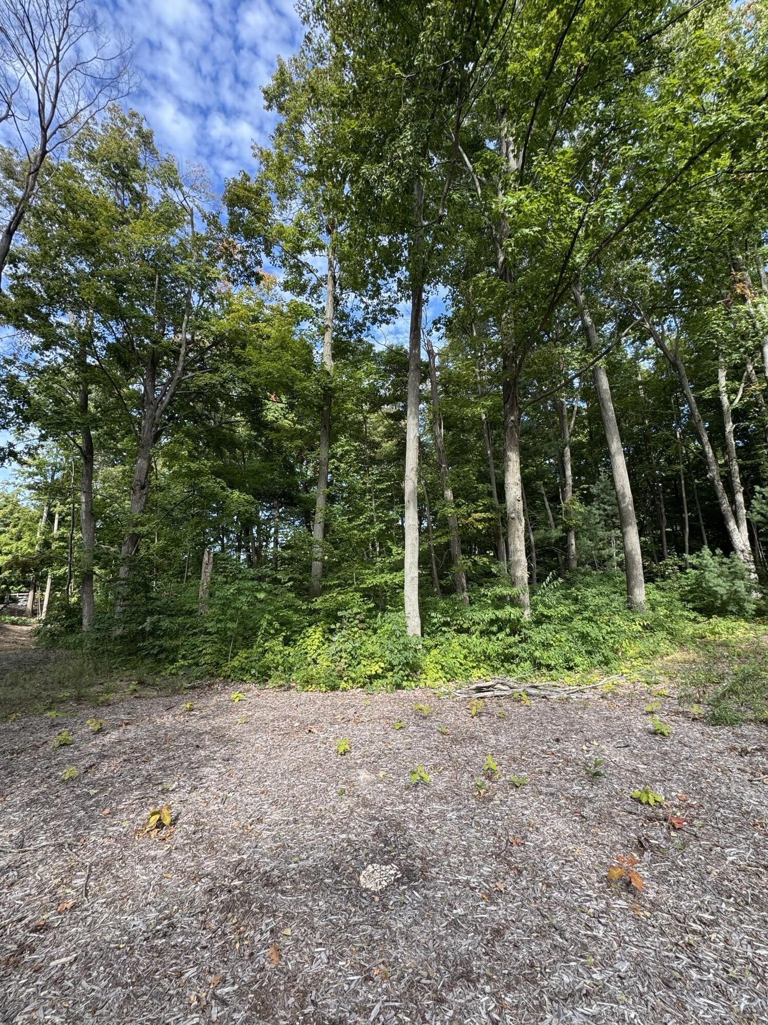 14672 Crest View Court South Haven MI 49090