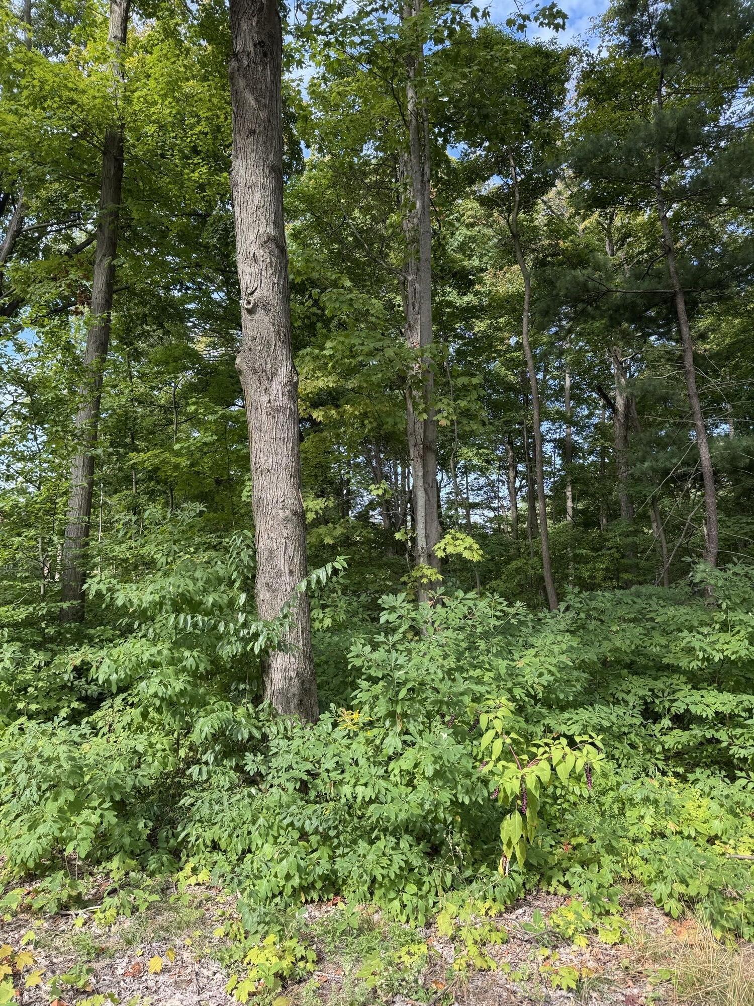 14672 Crest View Court South Haven MI 49090