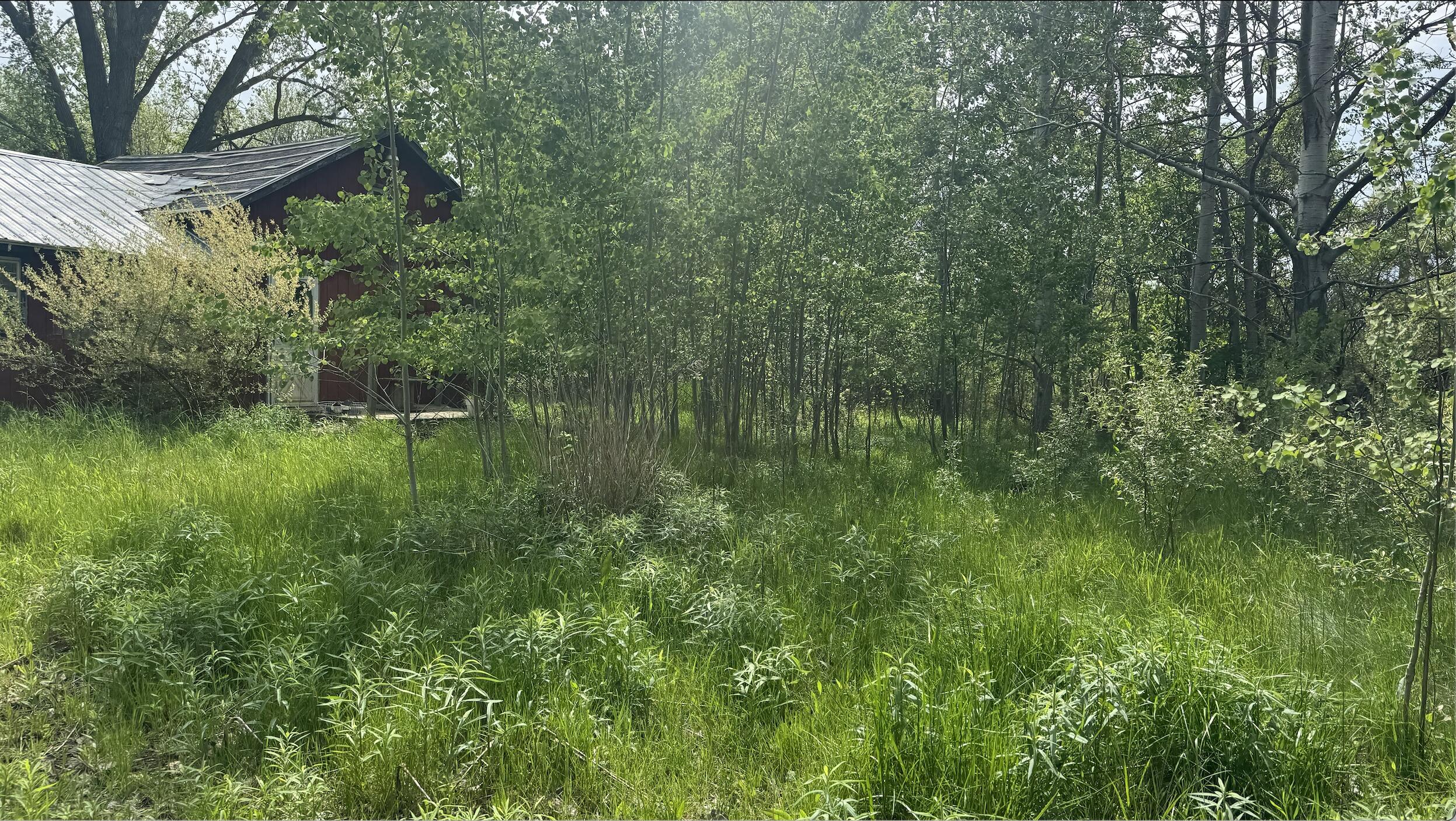 6890/6882 116th Avenue Fennville MI 49408