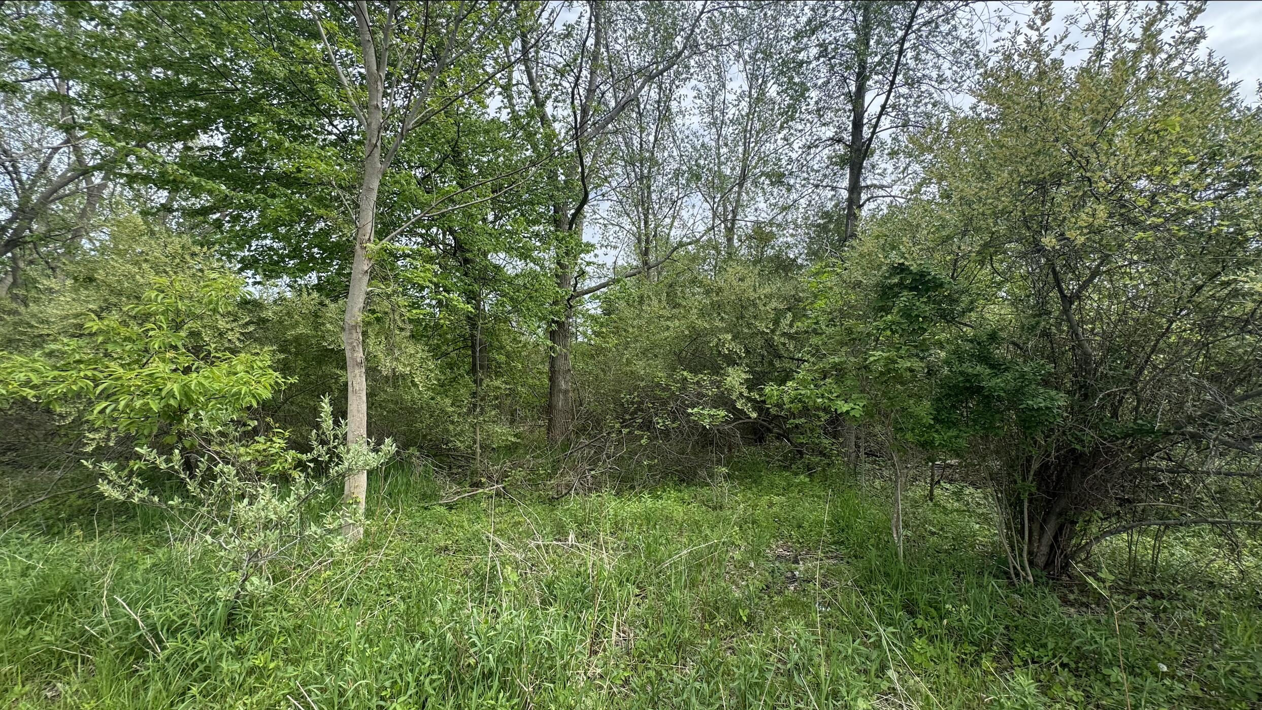 6890/6882 116th Avenue Fennville MI 49408