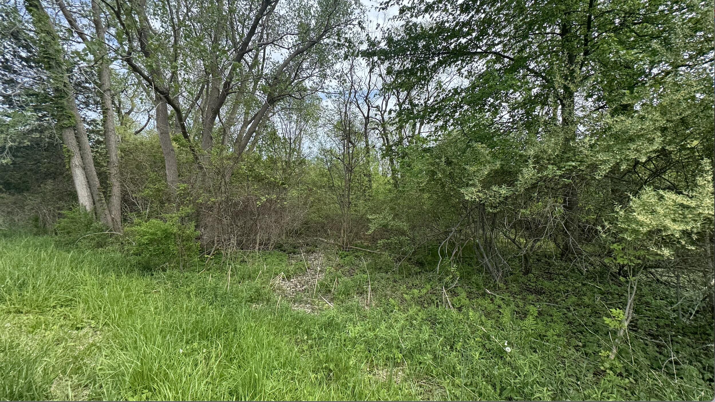 6890/6882 116th Avenue Fennville MI 49408