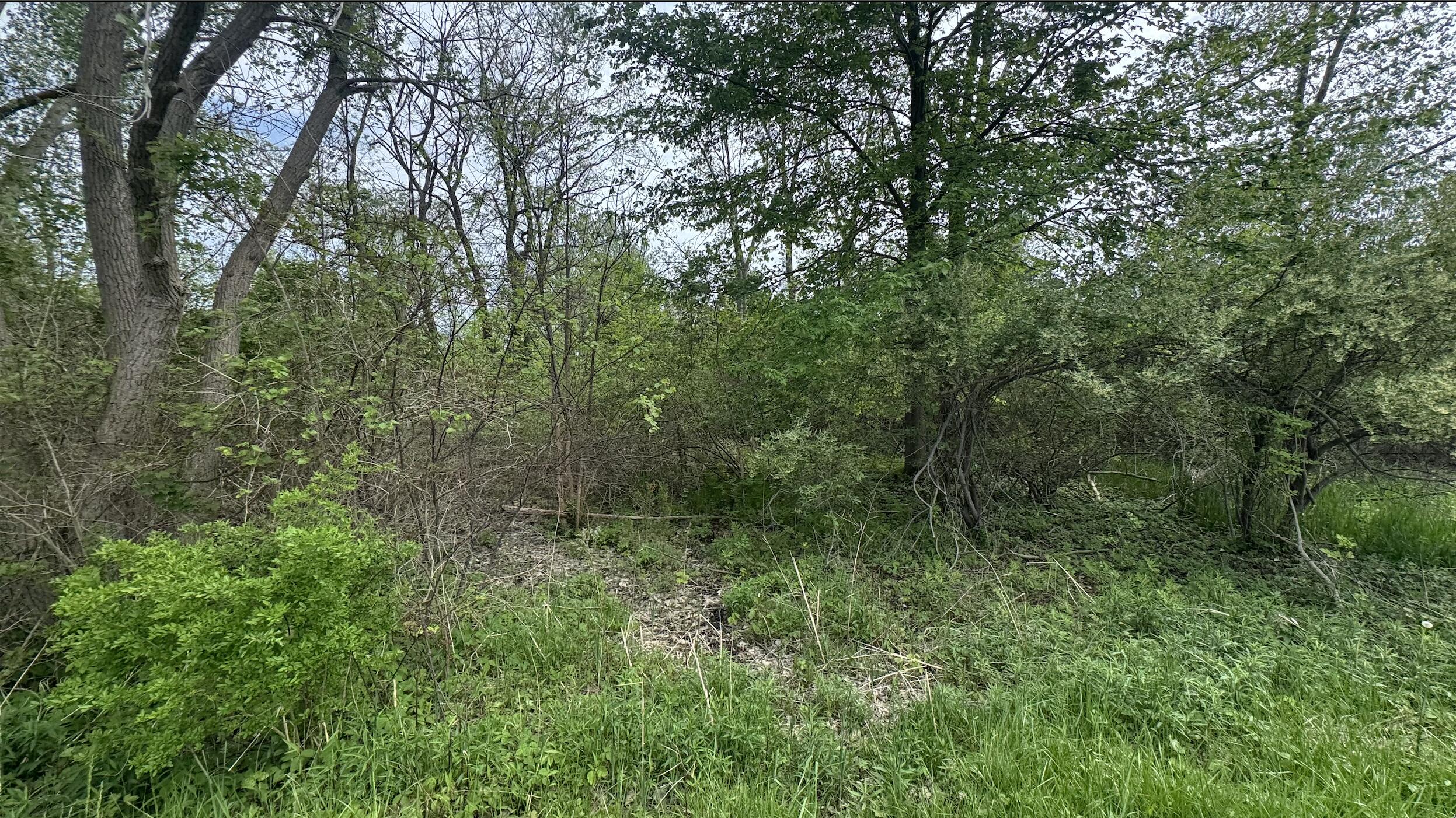 6890/6882 116th Avenue Fennville MI 49408