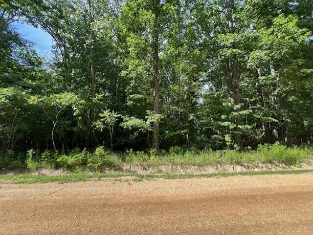 Union Pier MI, V/L National Parkway, Unit 25