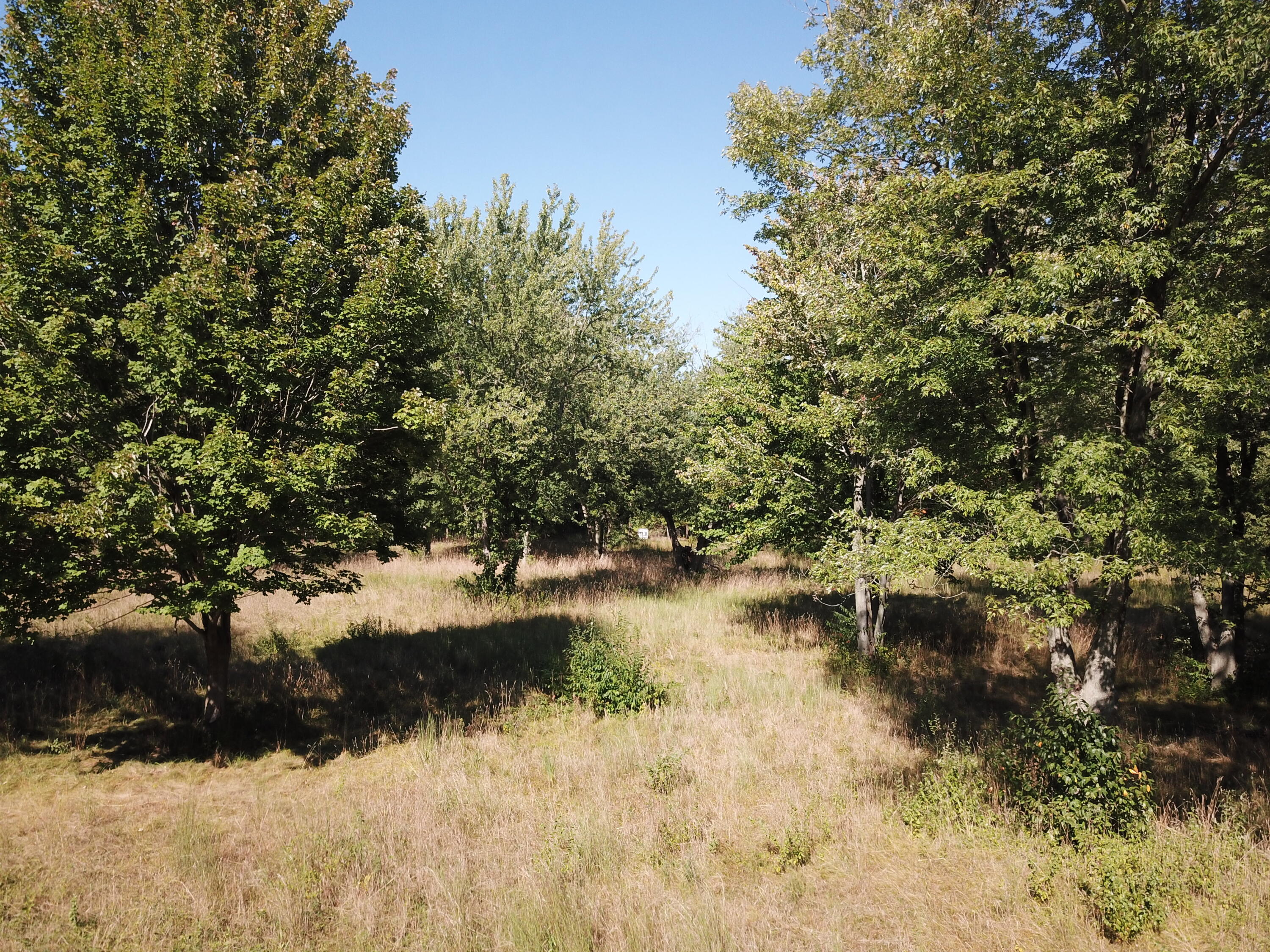 1853 W John Beers Road Stevensville MI 49127